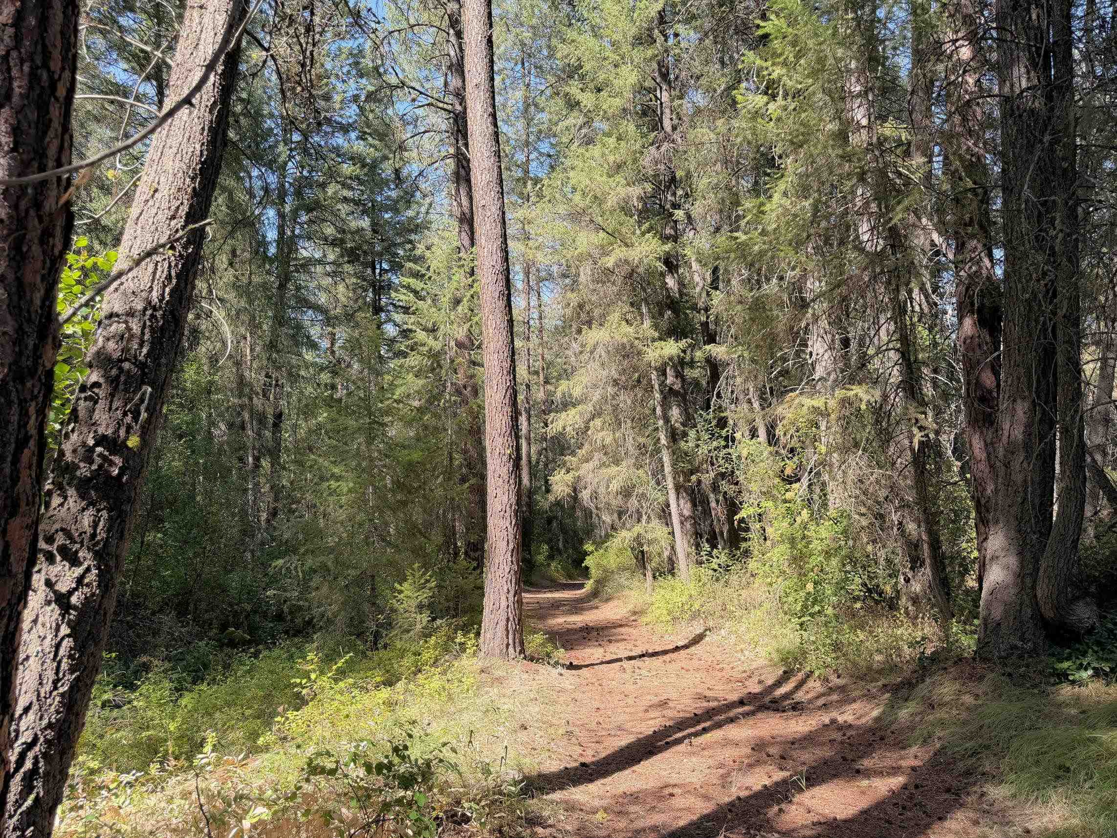 002 N Miles/Creston Rd - Photo 17