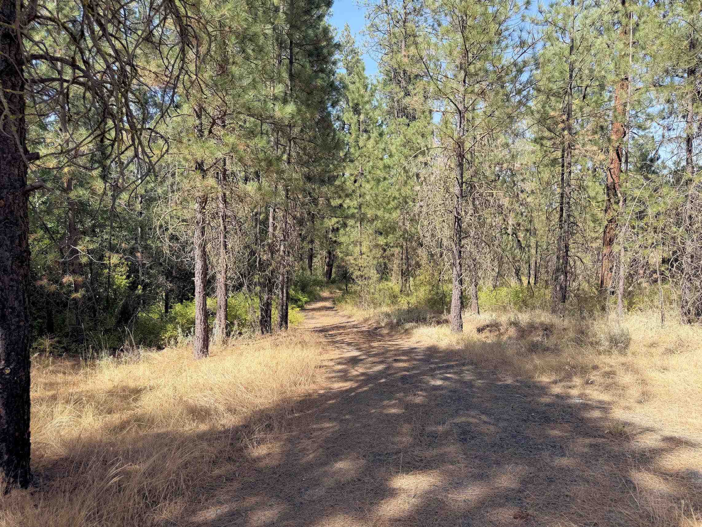 002 N Miles/Creston Rd - Photo 18