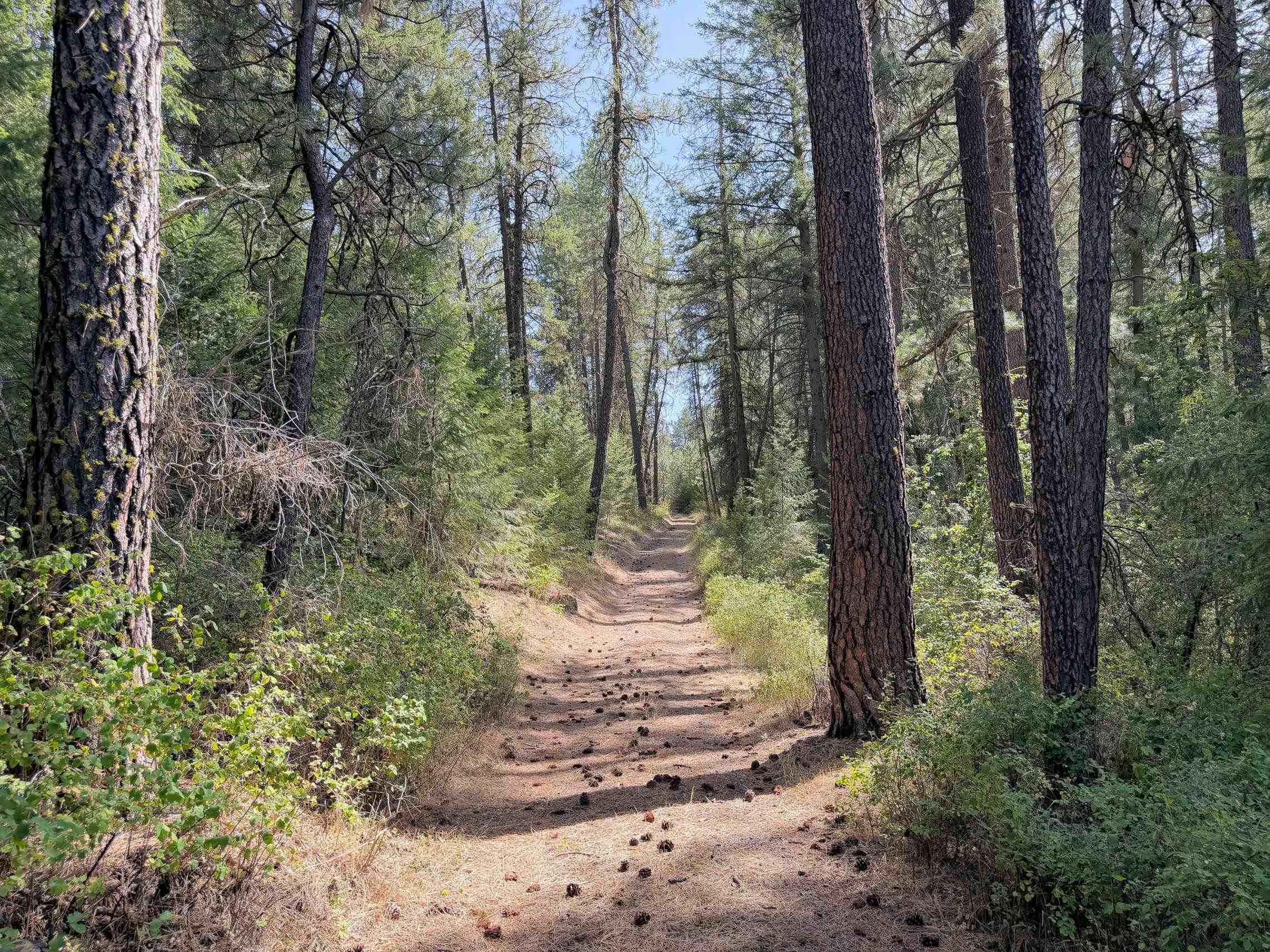 002 N Miles/Creston Rd - Photo 16