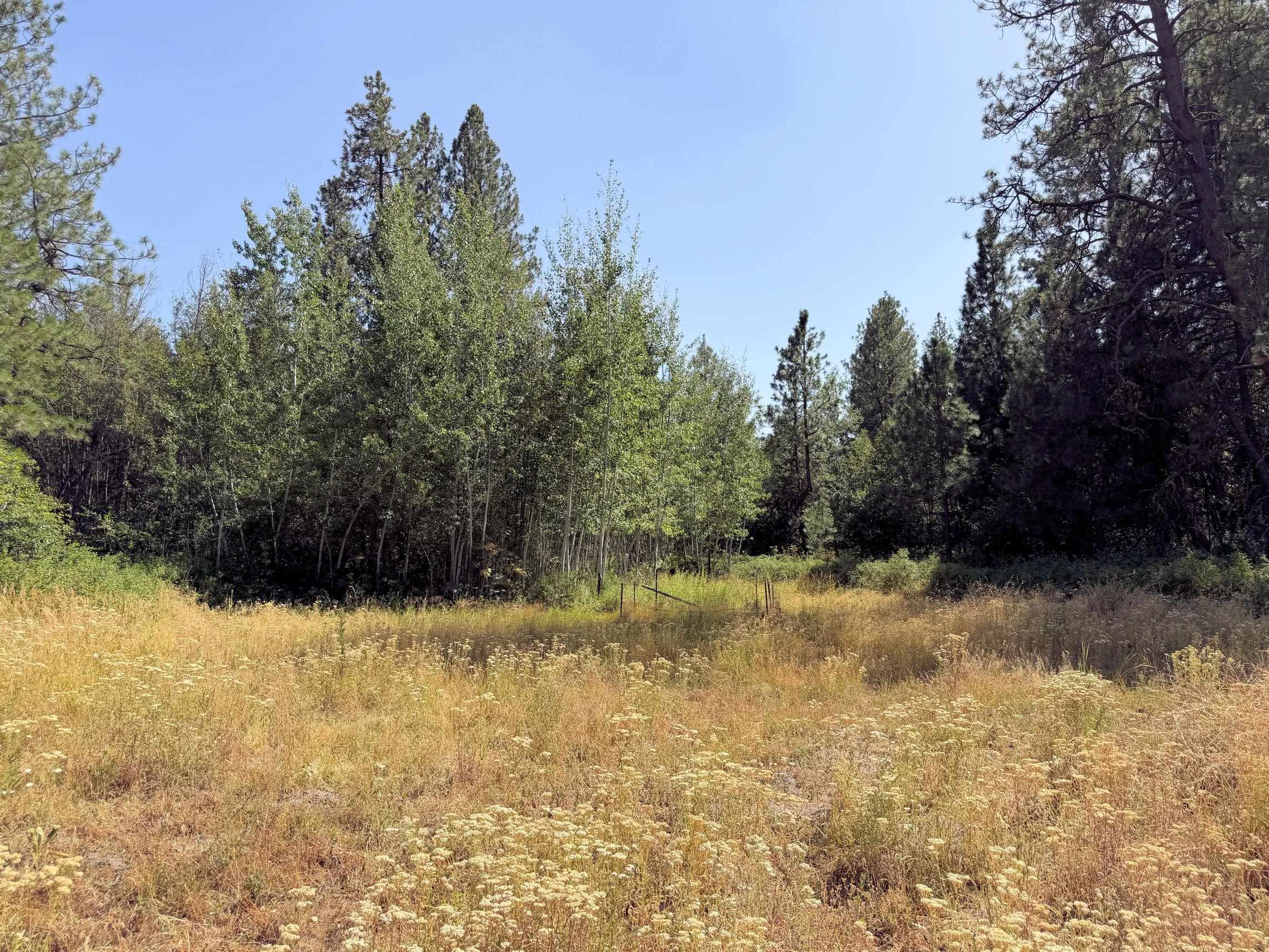 002 N Miles/Creston Rd - Photo 34