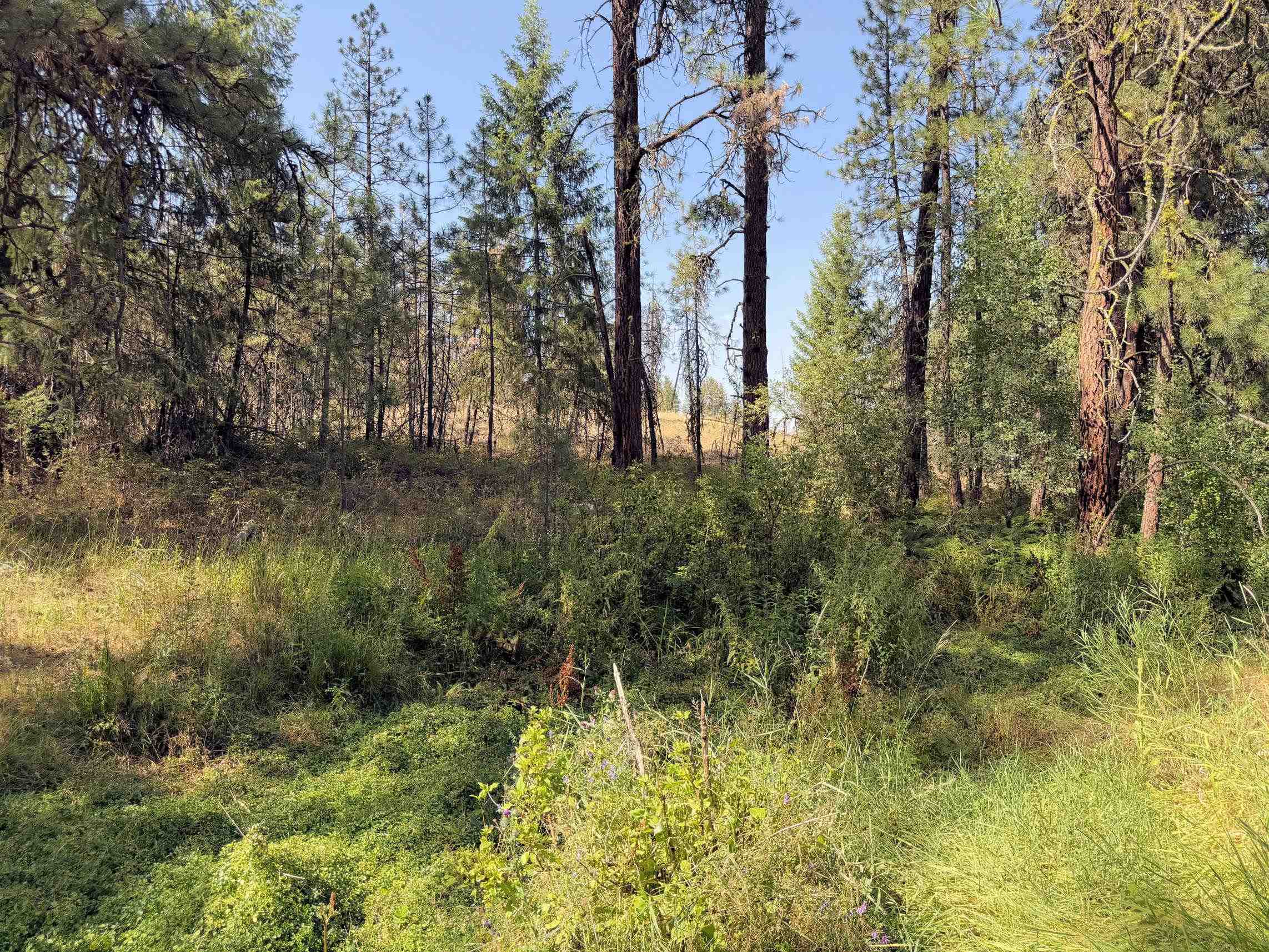 002 N Miles/Creston Rd - Photo 13
