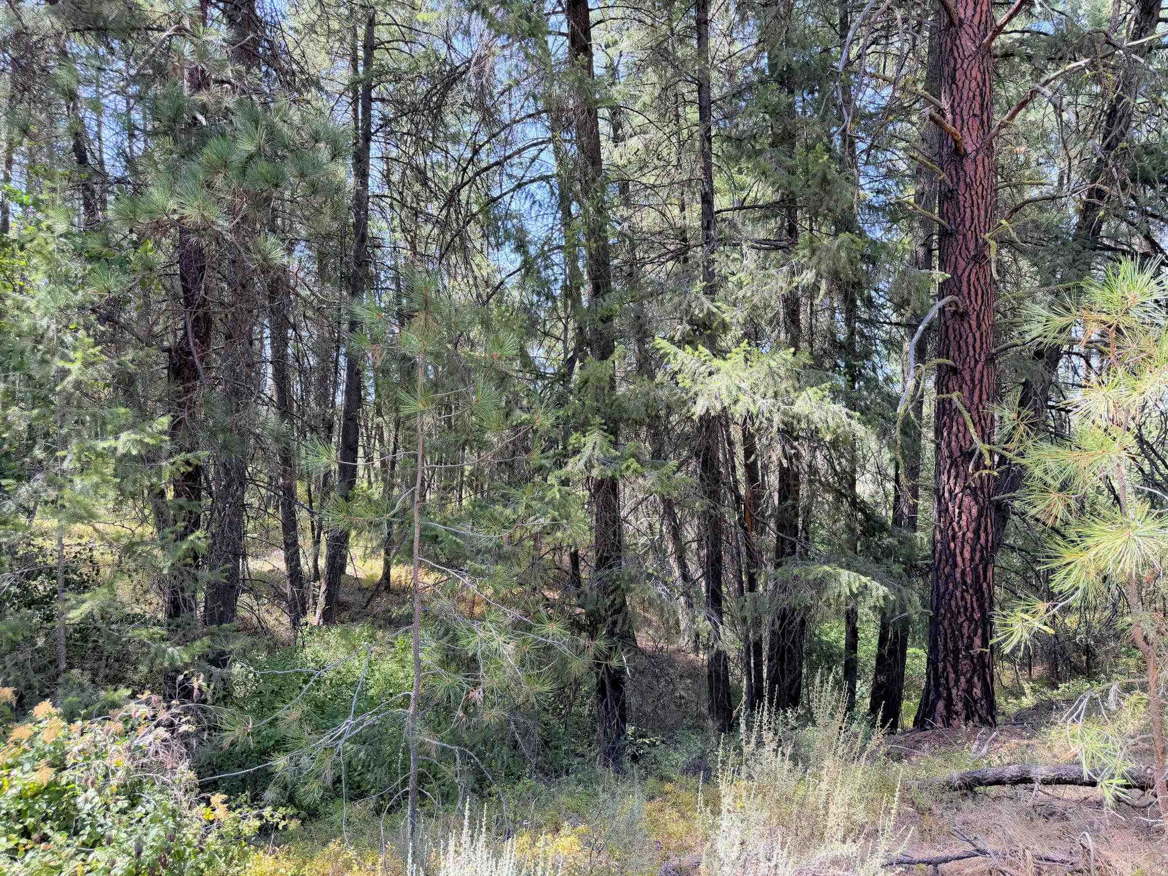 002 N Miles/Creston Rd - Photo 35