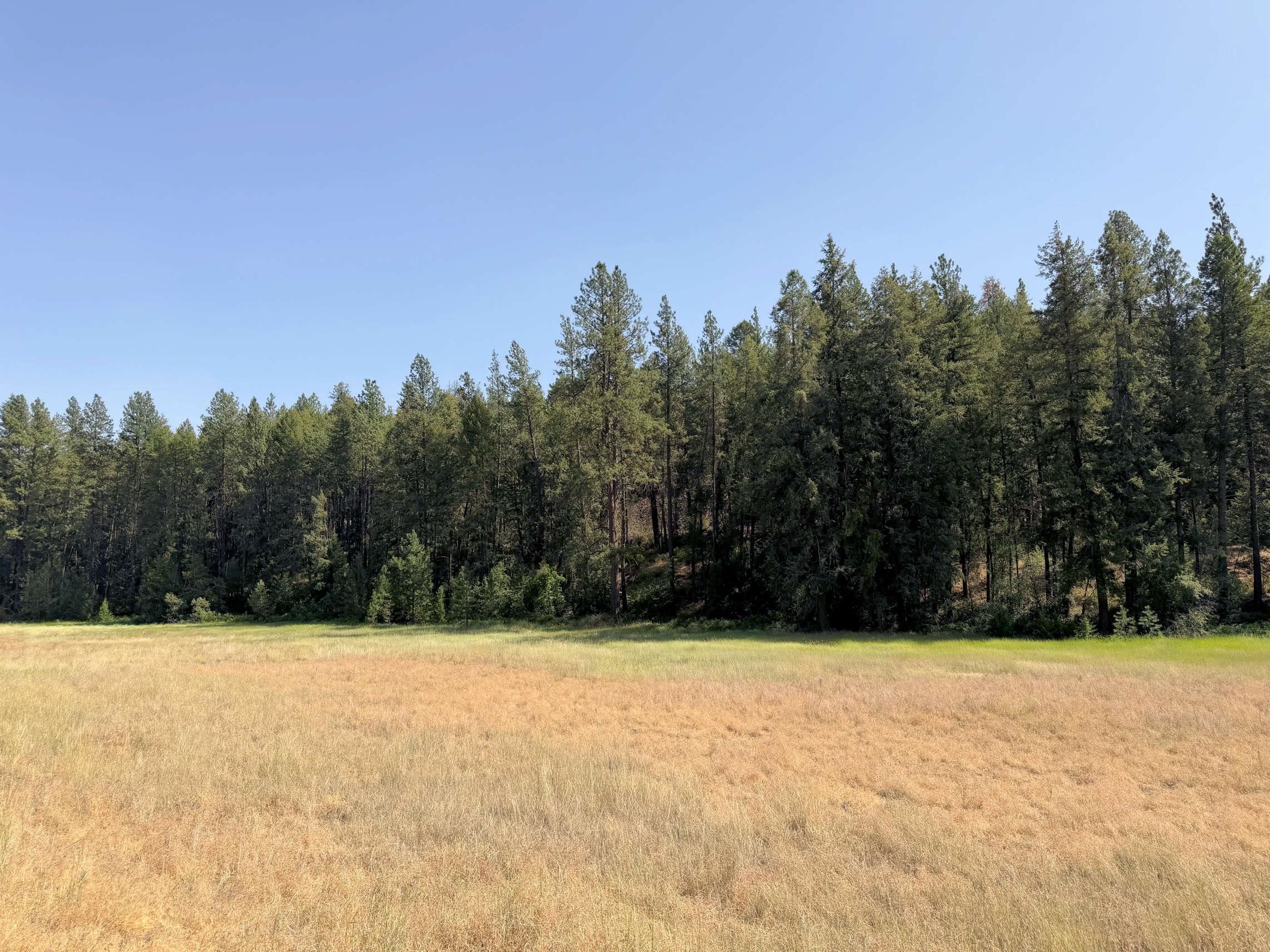 001 E Miles/Creston Rd - Photo 3
