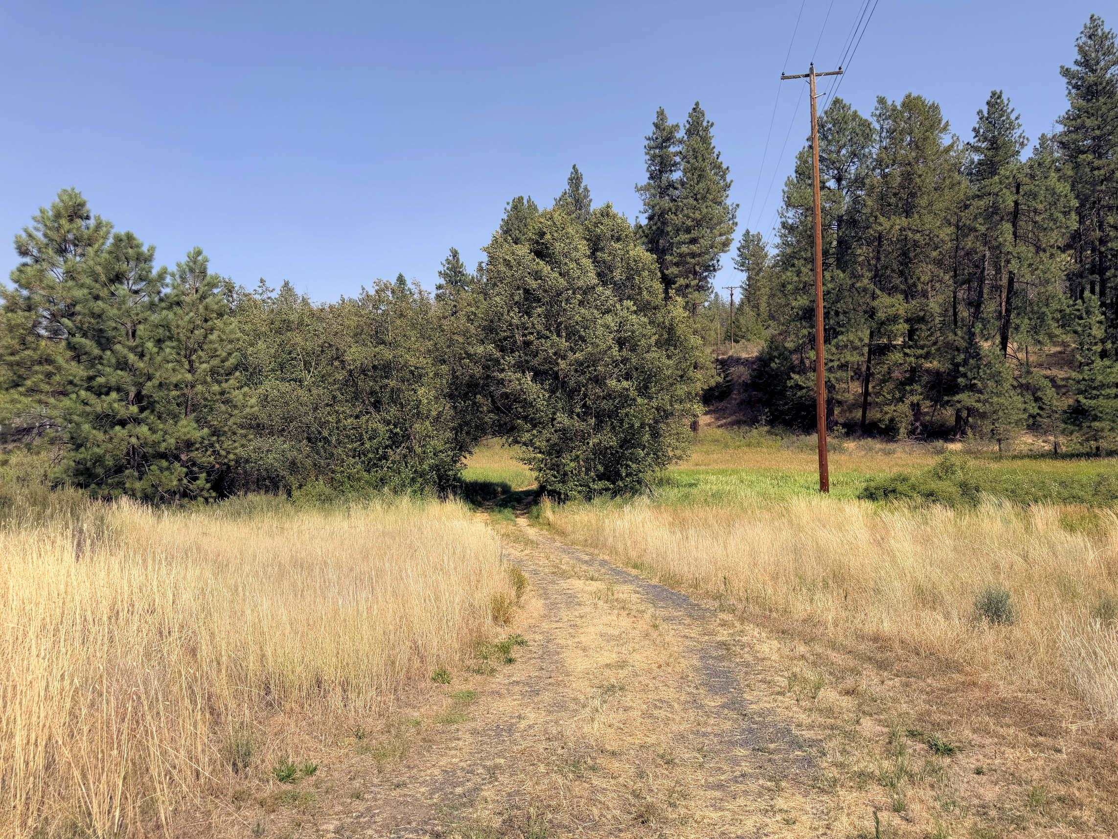 001 E Miles/Creston Rd - Photo 6