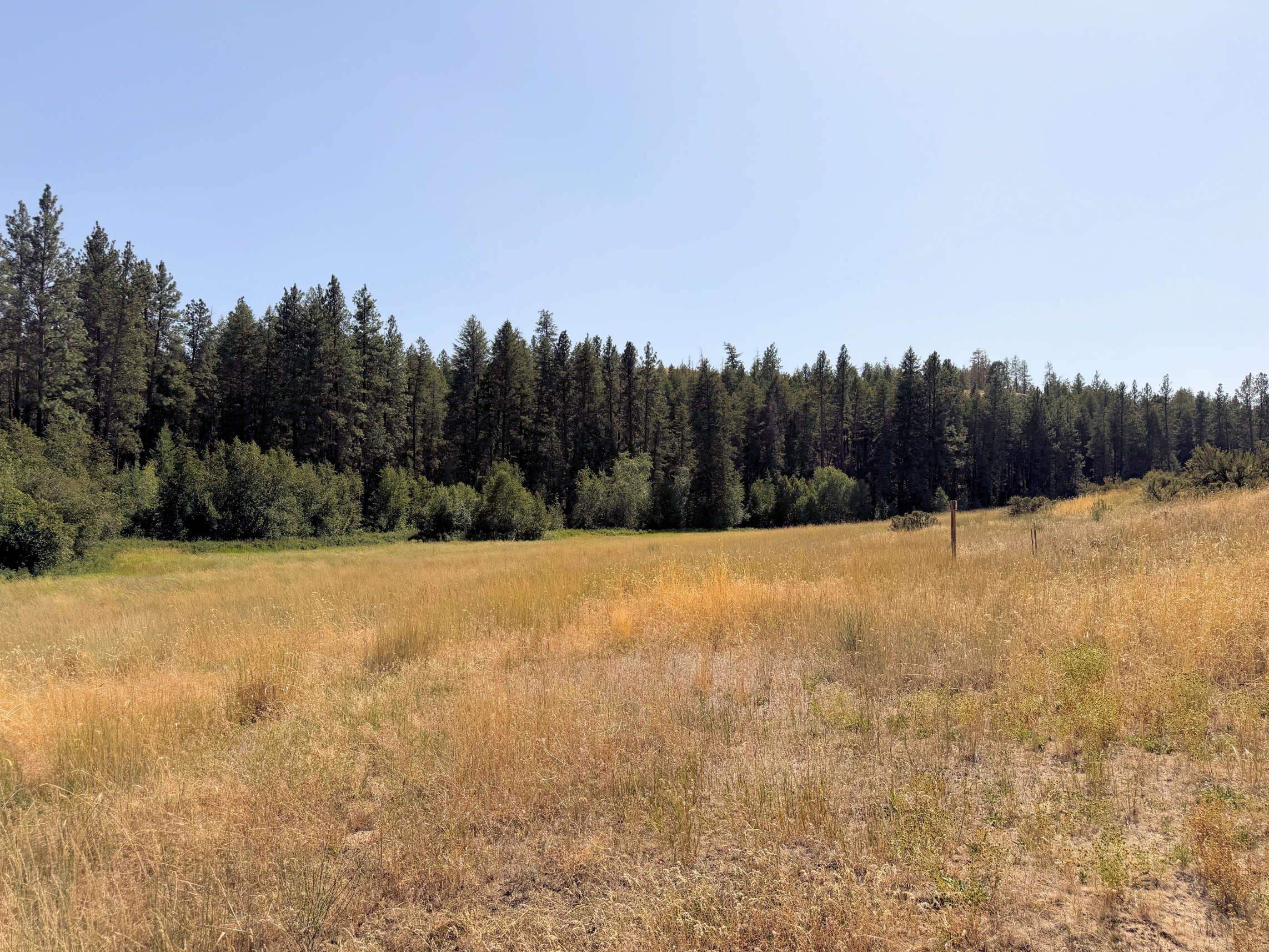 001 E Miles/Creston Rd - Photo 7