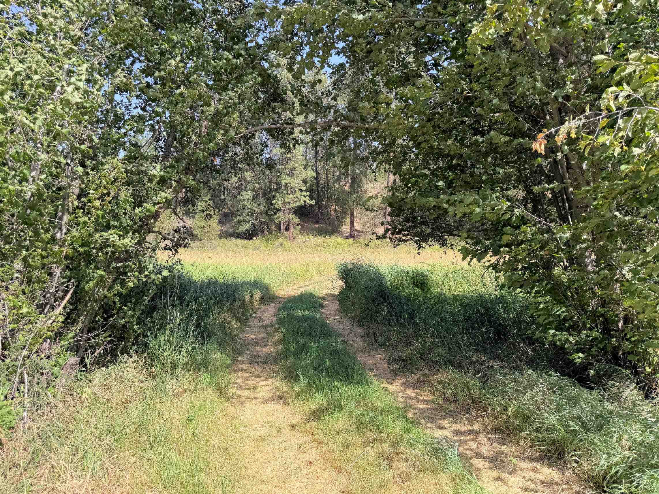 001 E Miles/Creston Rd - Photo 8