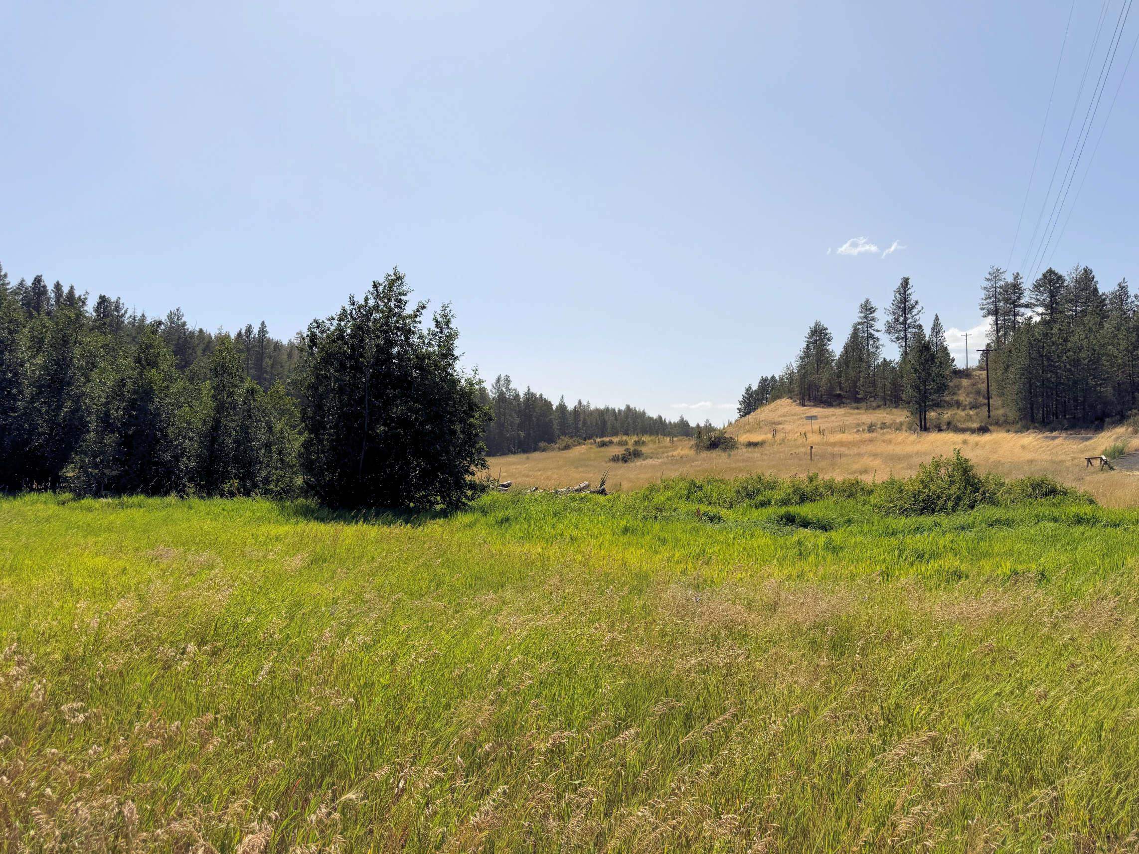 001 E Miles/Creston Rd - Photo 1