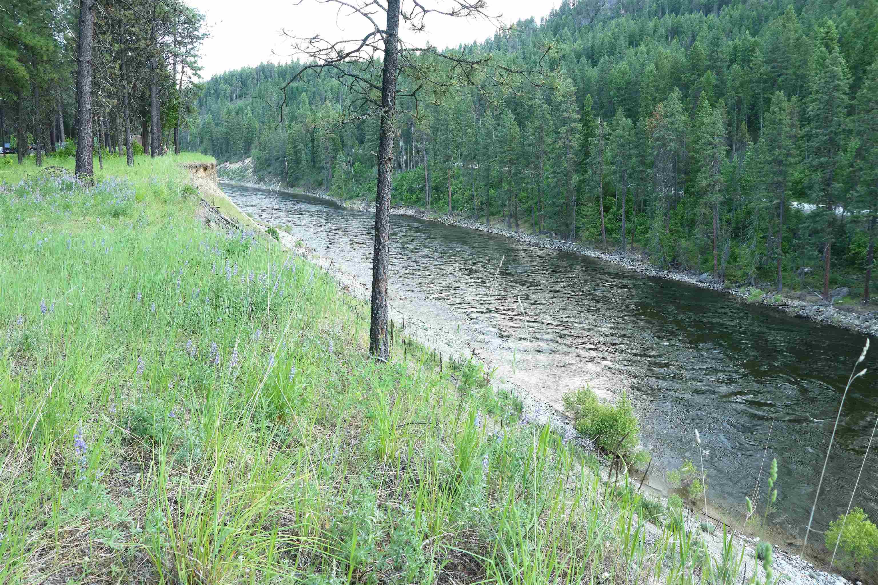 3733 C Sand Creek Rd - Photo 2