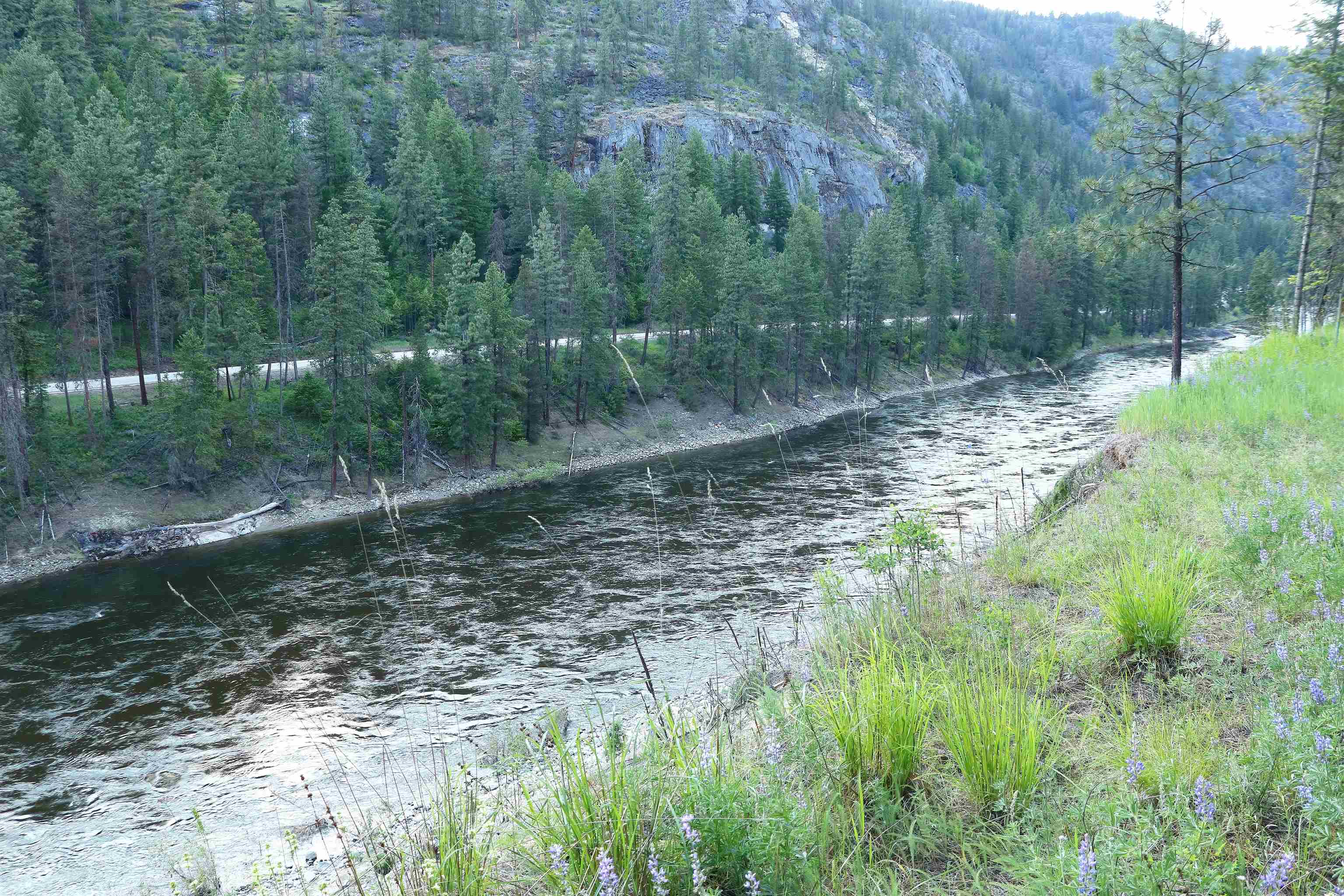 3733 C Sand Creek Rd - Photo 3