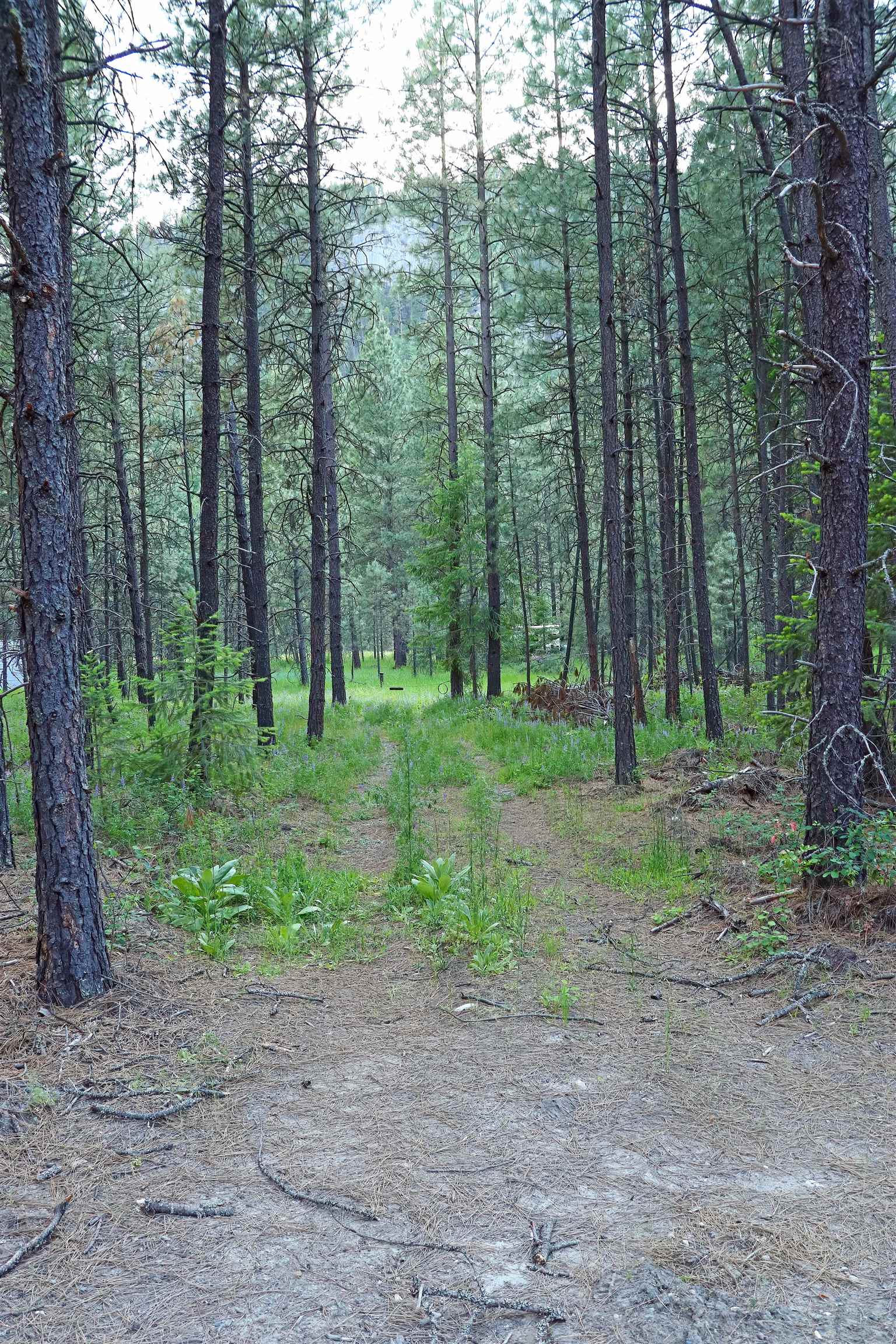 3733 C Sand Creek Rd - Photo 4