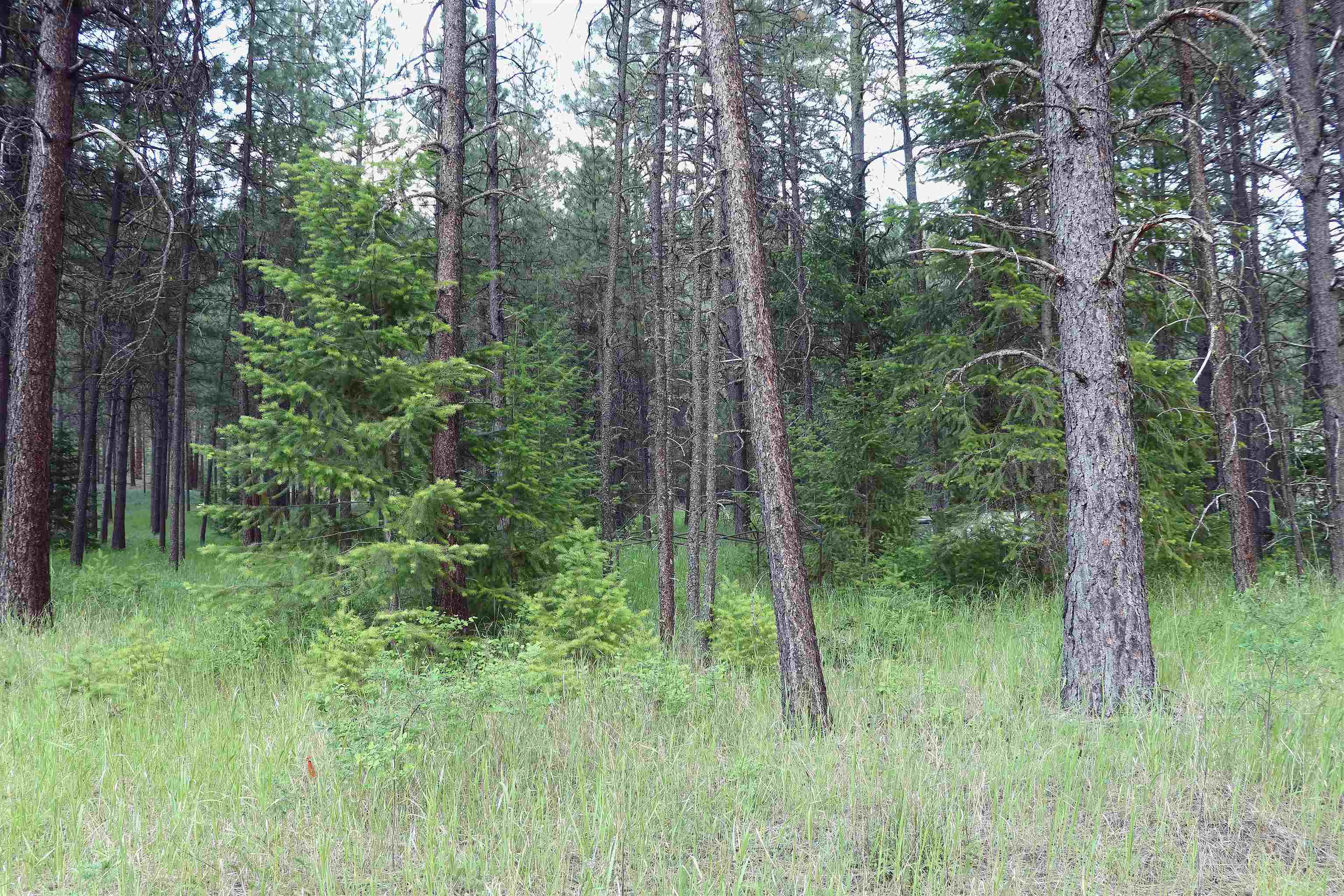 3733 C Sand Creek Rd - Photo 9