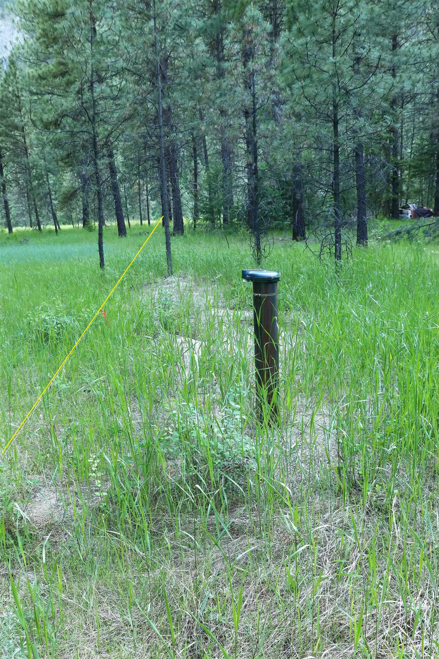 3733 C Sand Creek Rd - Photo 10