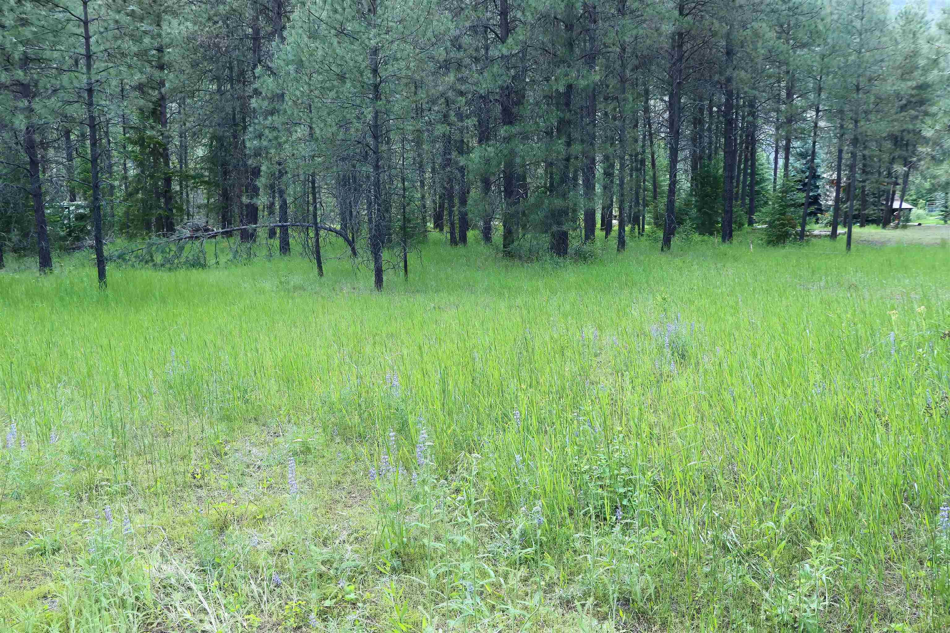 3733 C Sand Creek Rd - Photo 11