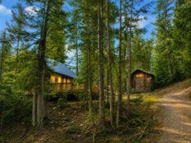 3121 Fifteen Mile Creek Rd. Rd - Photo 3
