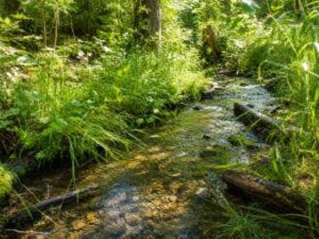 3121 Fifteen Mile Creek Rd. Rd - Photo 26