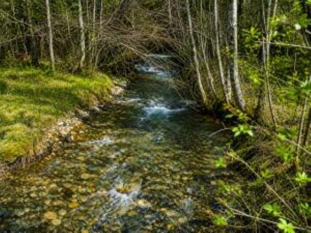 3121 Fifteen Mile Creek Rd. Rd - Photo 28
