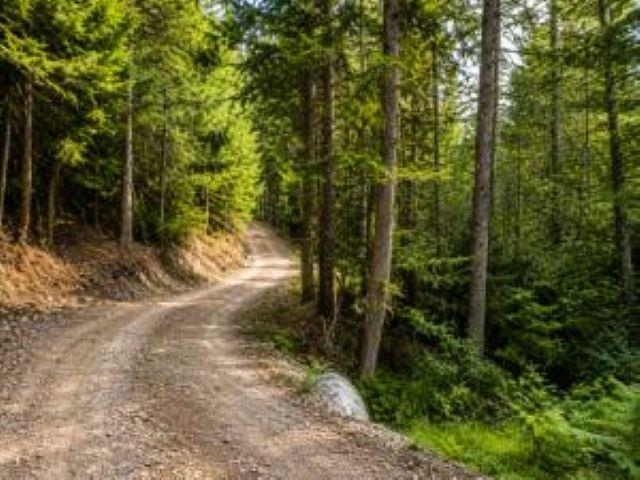 3121 Fifteen Mile Creek Rd. Rd - Photo 29