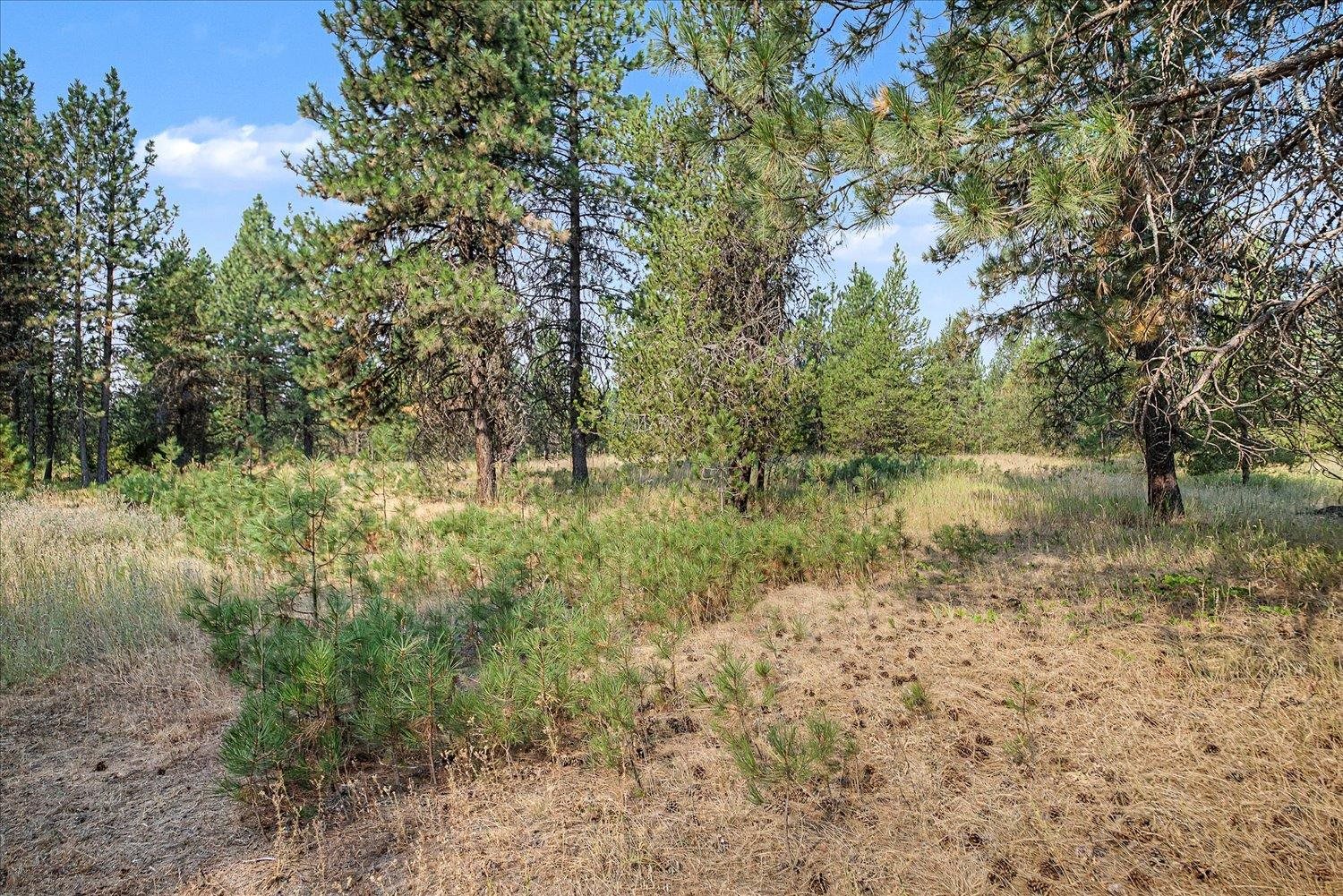 5101 E Elk to Highway Rd - Photo 45