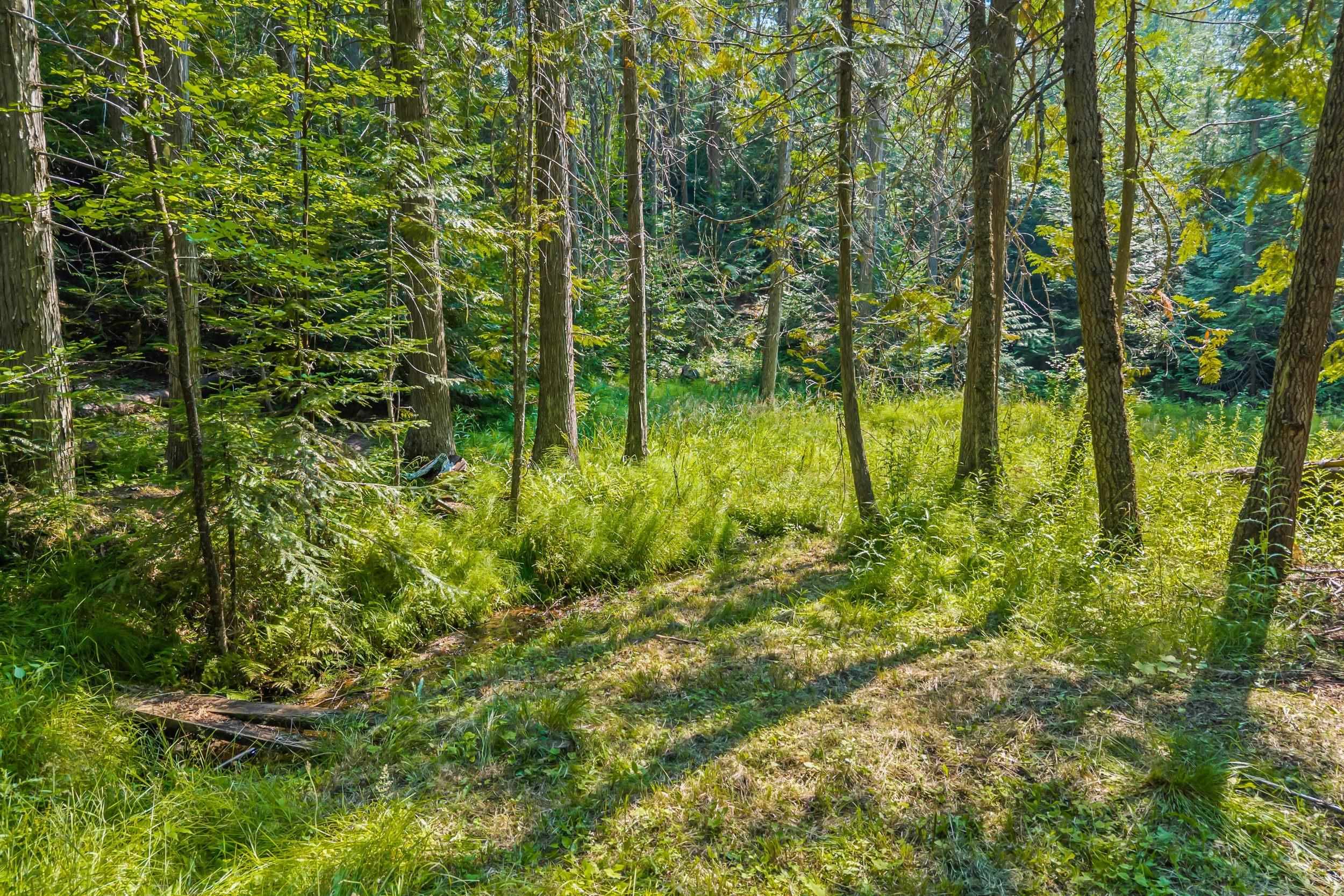 2423 L Quinns Meadow Rd - Photo 20
