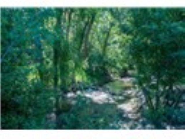1454 Old Hwy 97 Hwy - Photo 12