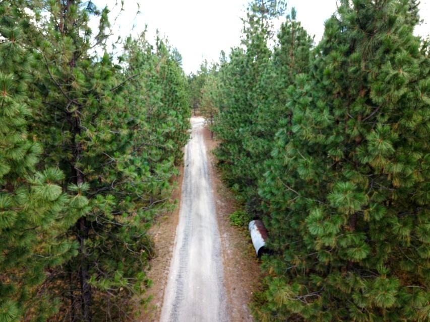 11618 E Dusty Ln - Photo 3