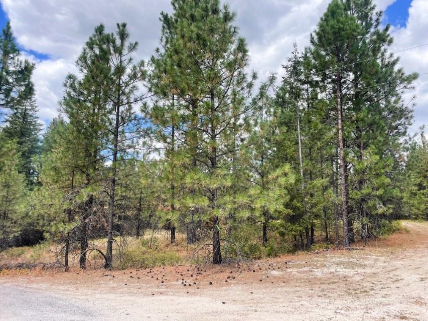 11618 E Dusty Ln - Photo 21