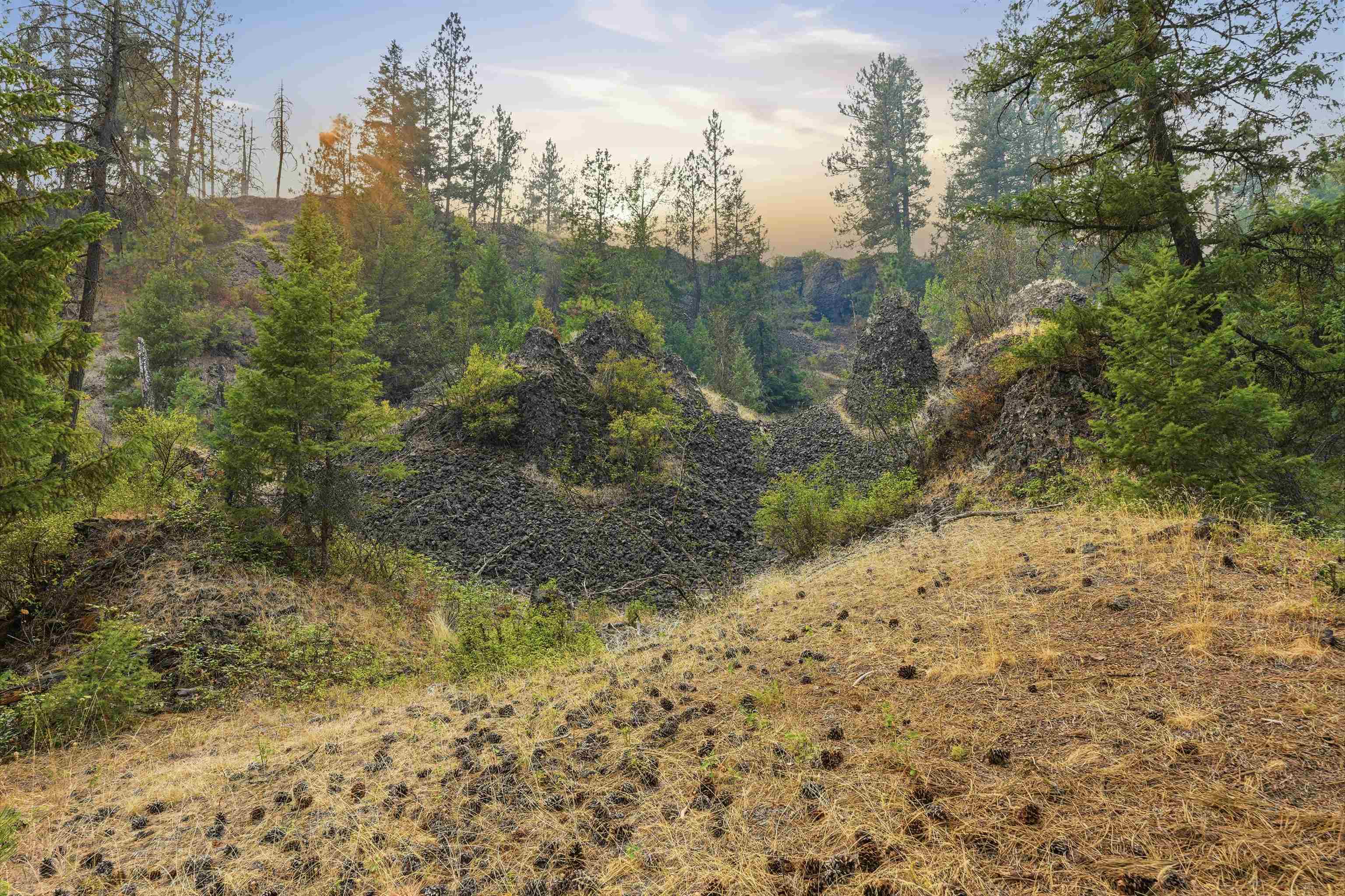 17307 N Little Spokane River Dr - Photo 48