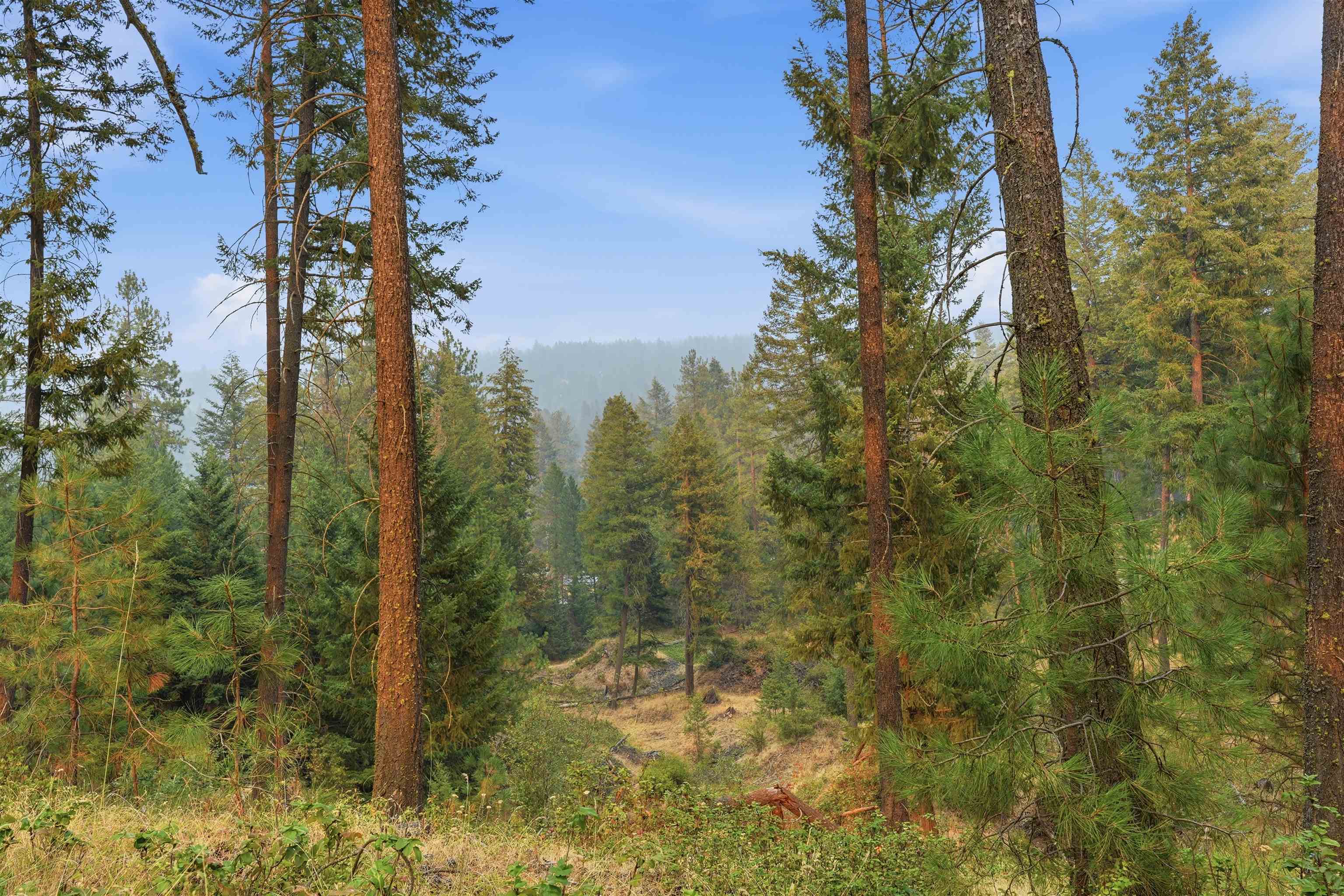 17307 N Little Spokane River Dr - Photo 49
