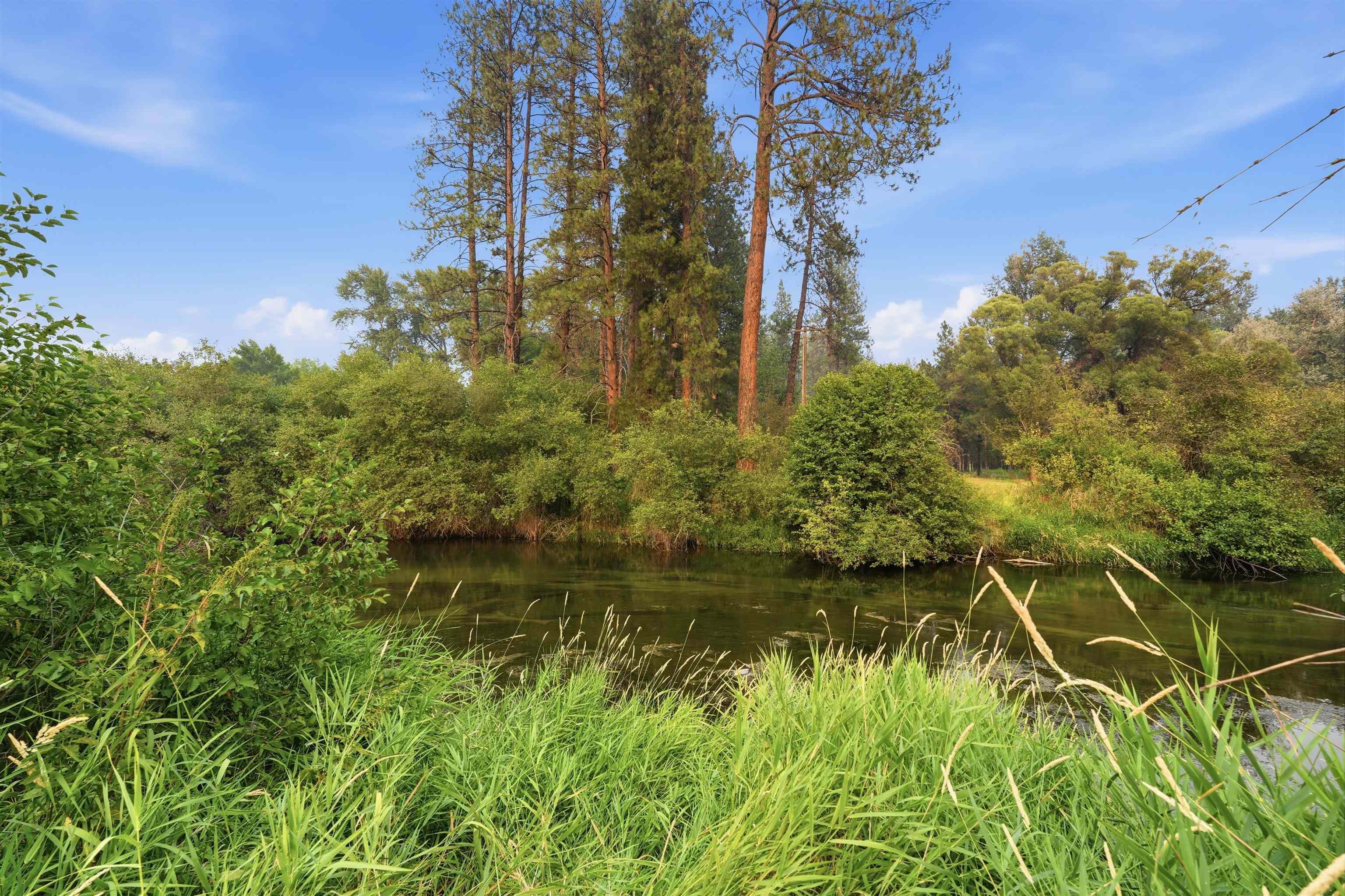 17307 N Little Spokane River Dr - Photo 4