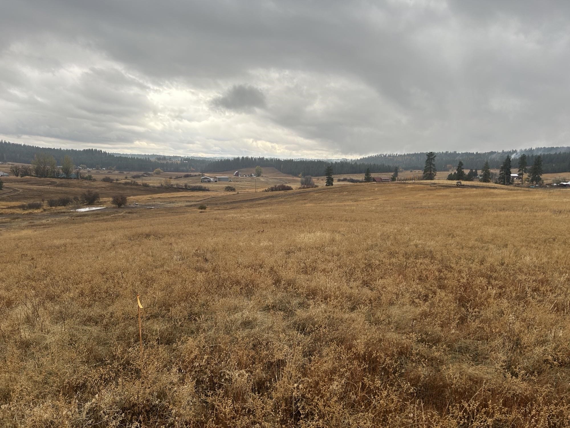 11707 E Tallman Rd - Photo 4