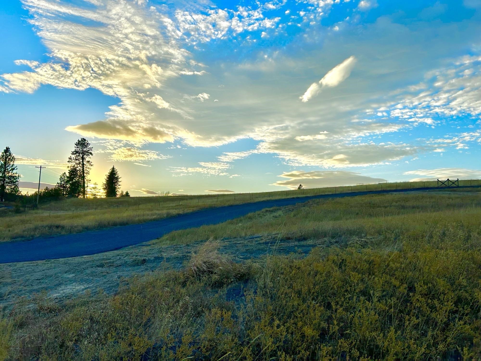 11707 E Tallman Rd - Photo 5