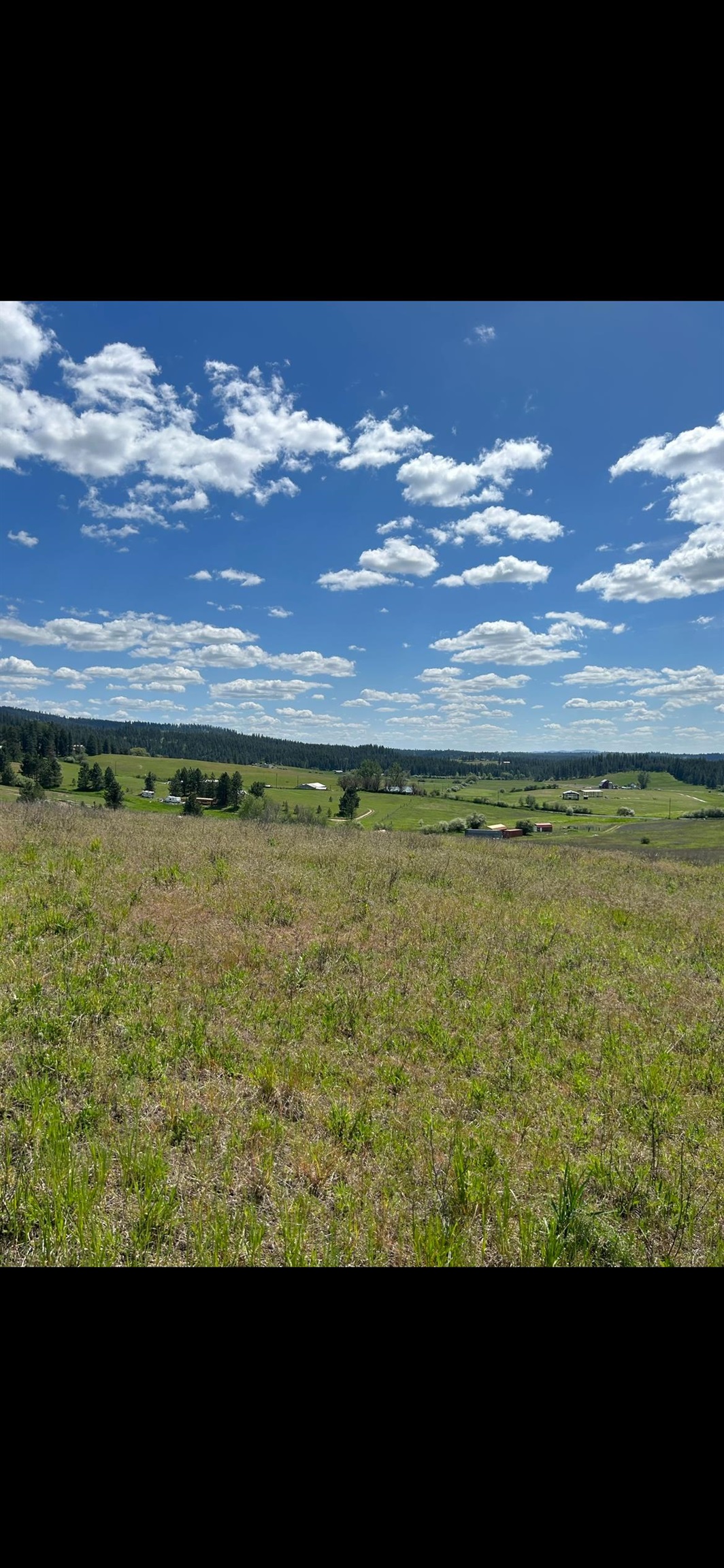 11707 E Tallman Rd - Photo 12