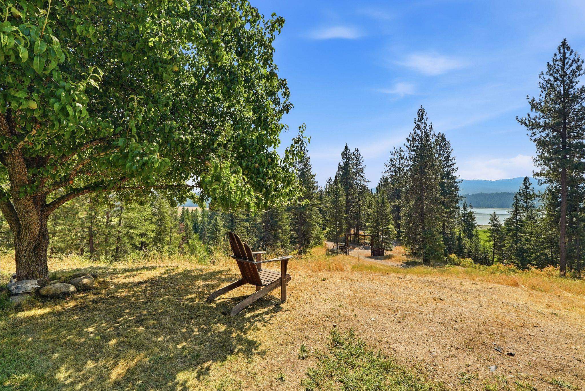 15504 N Osprey Ln - Photo 32