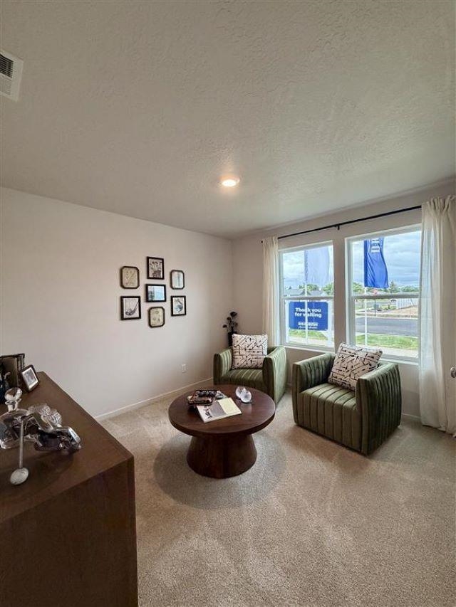 684 Duffer Loop - Photo 3