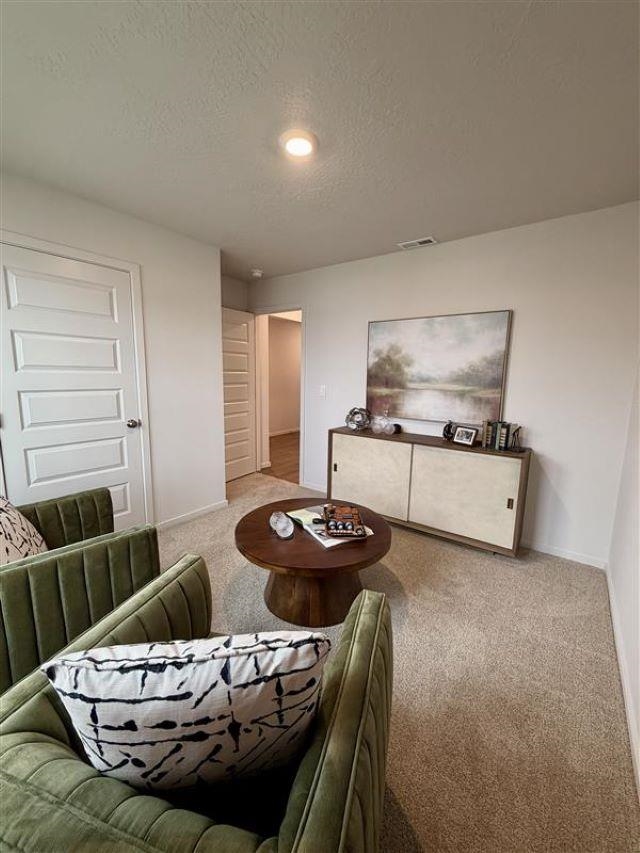 684 Duffer Loop - Photo 4
