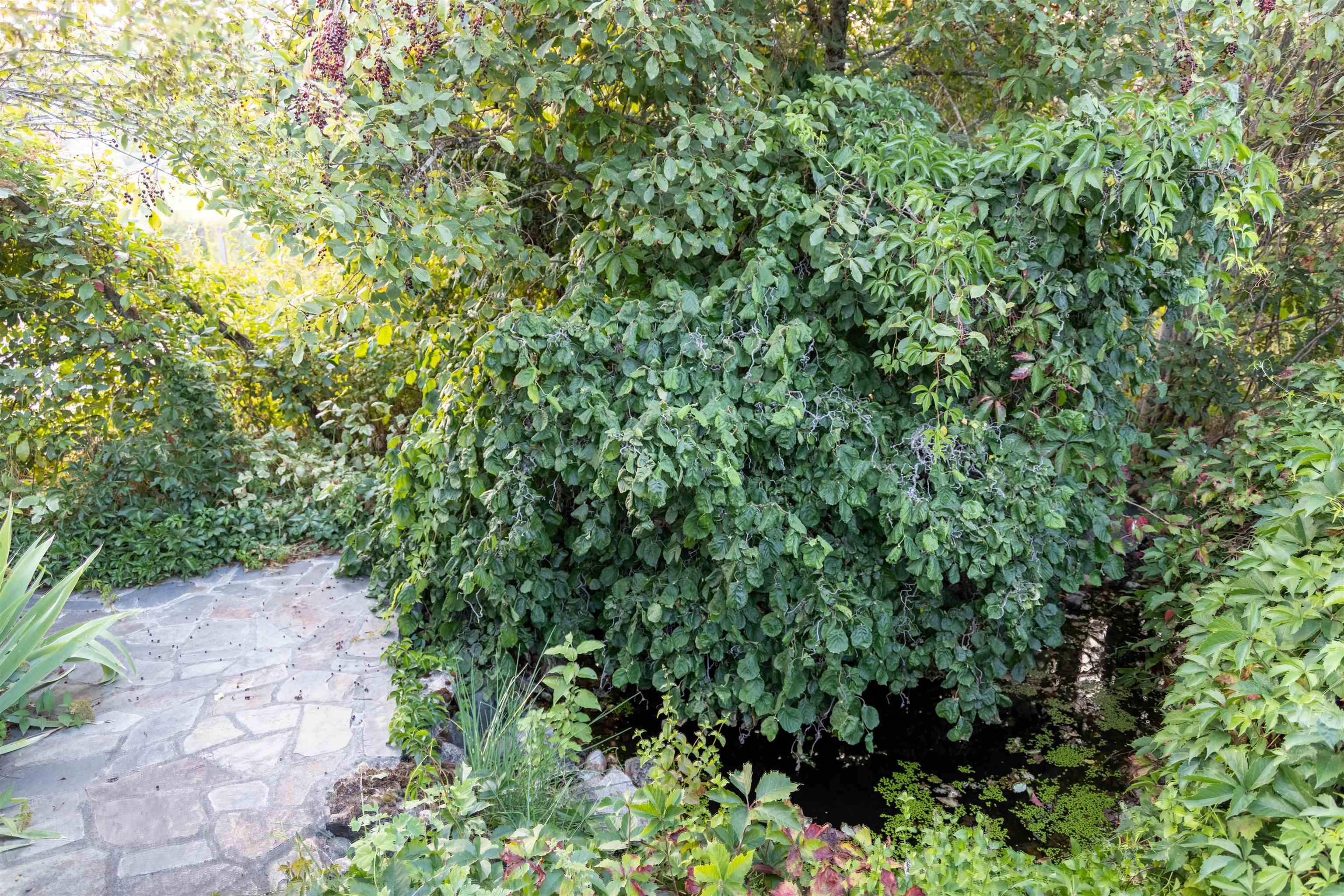 36019 N Milan-Elk Rd - Photo 16