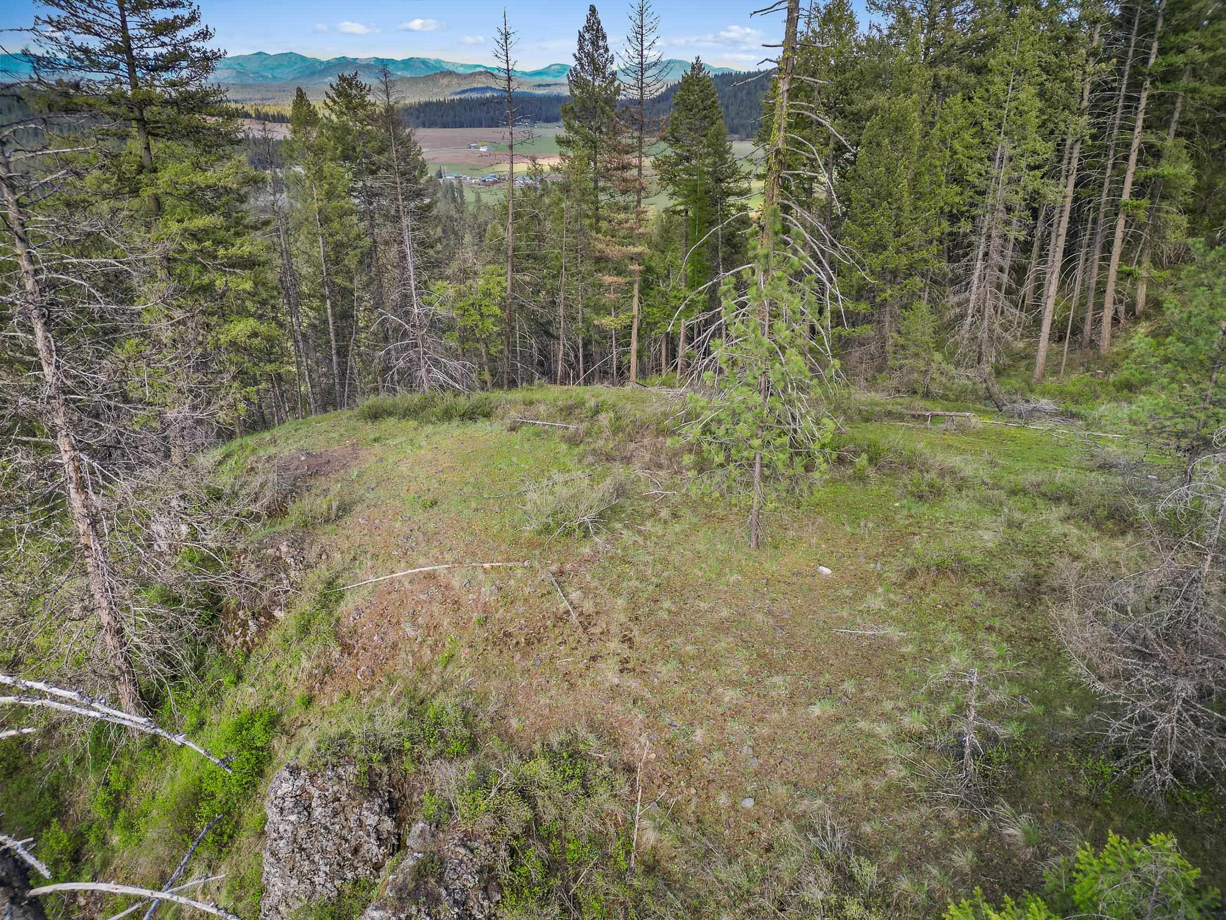 xxx Springdale Hunters Rd - Photo 3