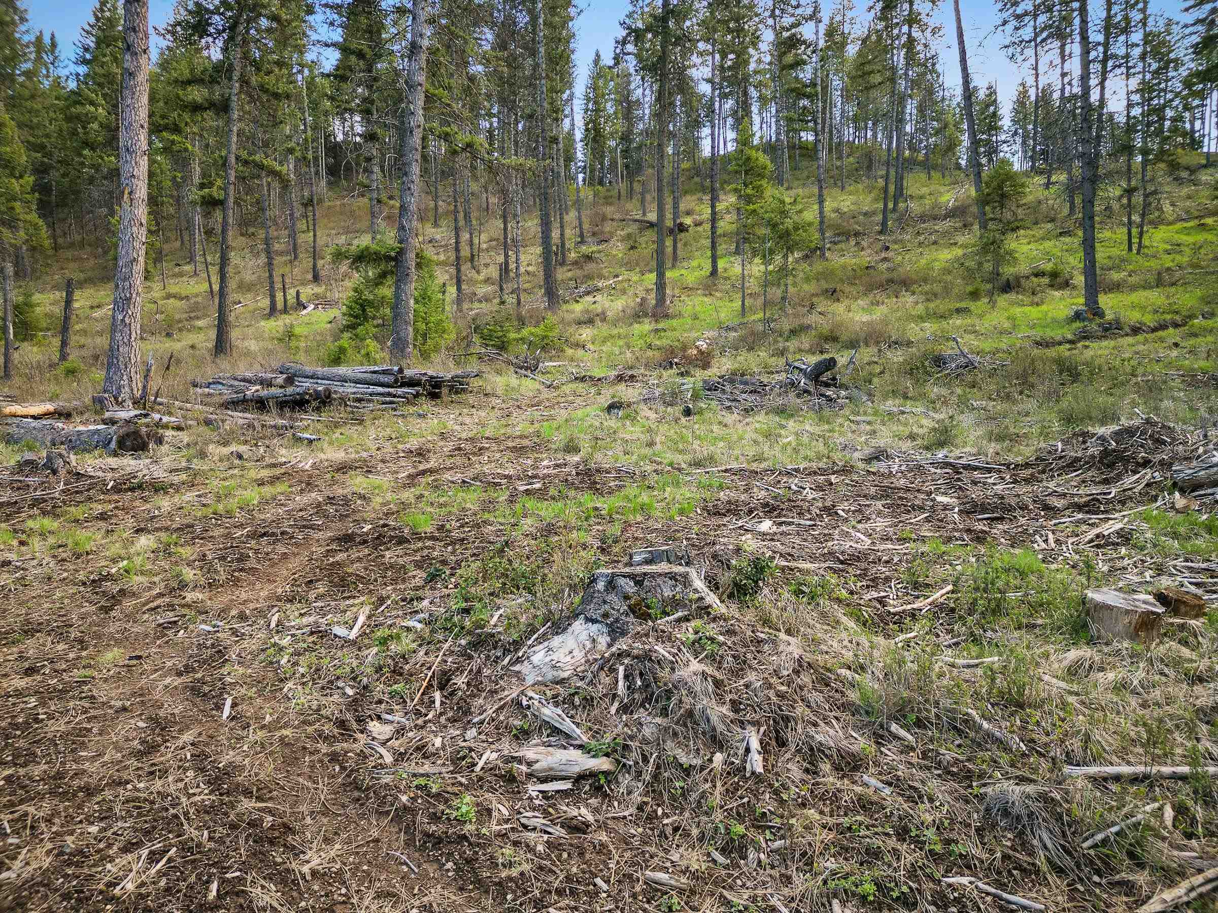 xxx Springdale Hunters Rd - Photo 9
