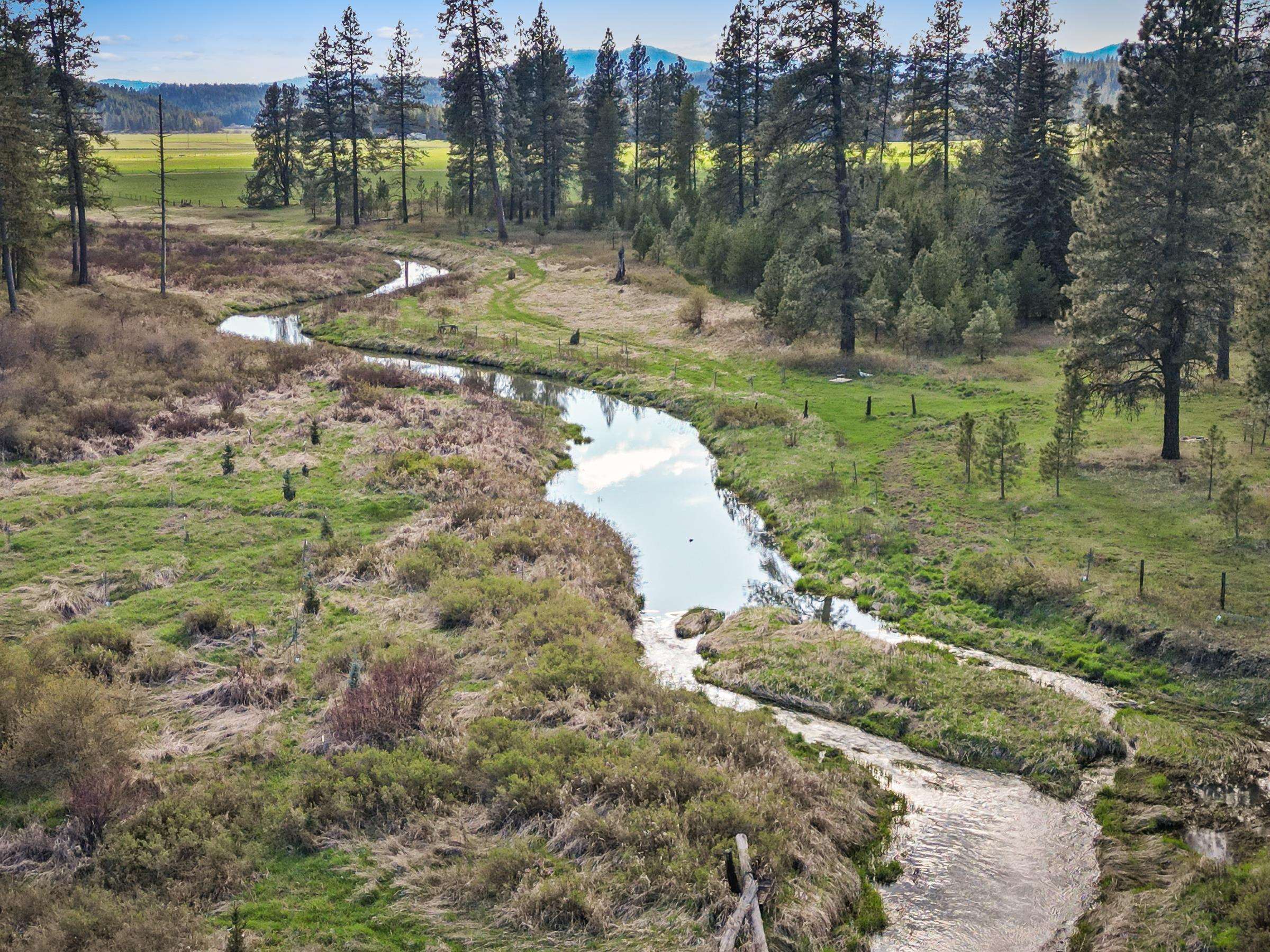 xxx Springdale Hunters Rd - Photo 10