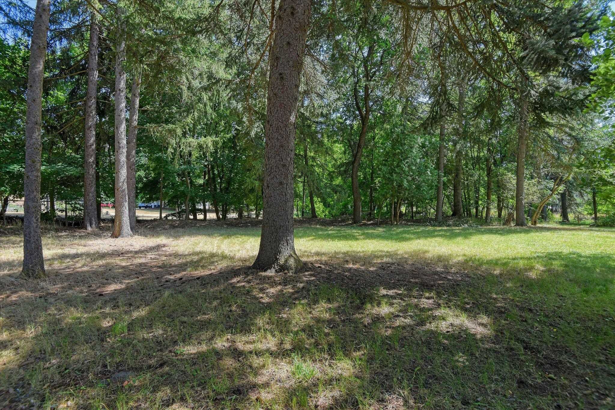 15628 N Little Spokane Dr - Photo 33