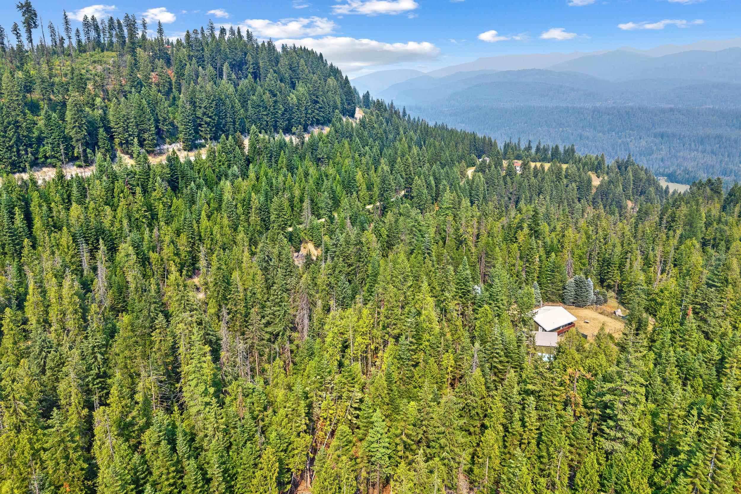 461 Beaver Creek Ln - Photo 43