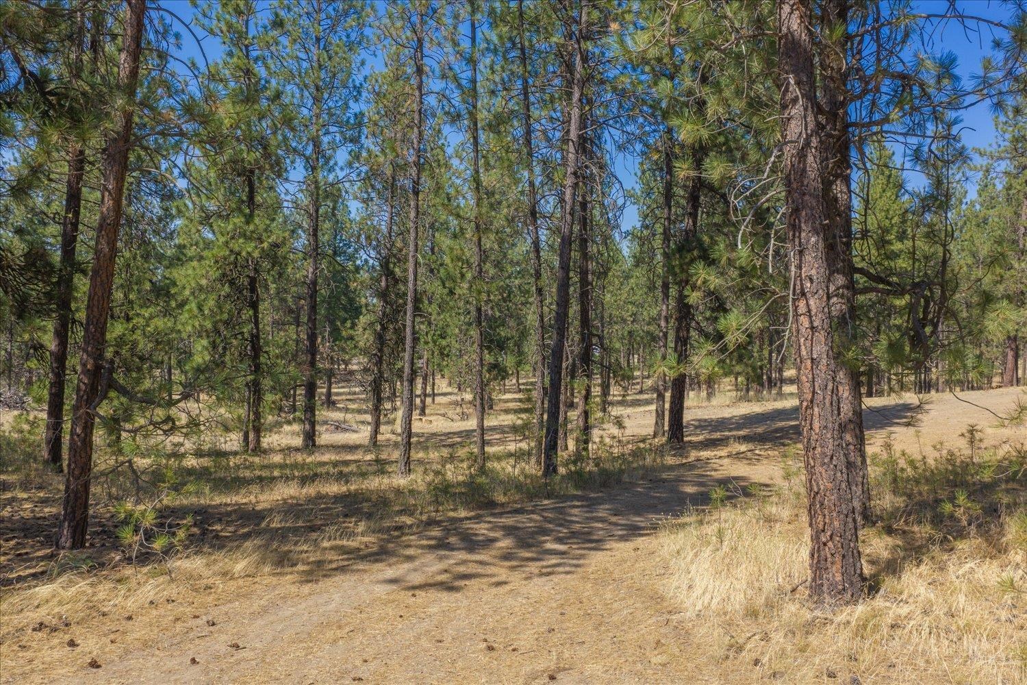 1110 1/2 S Brooks Rd - Photo 5