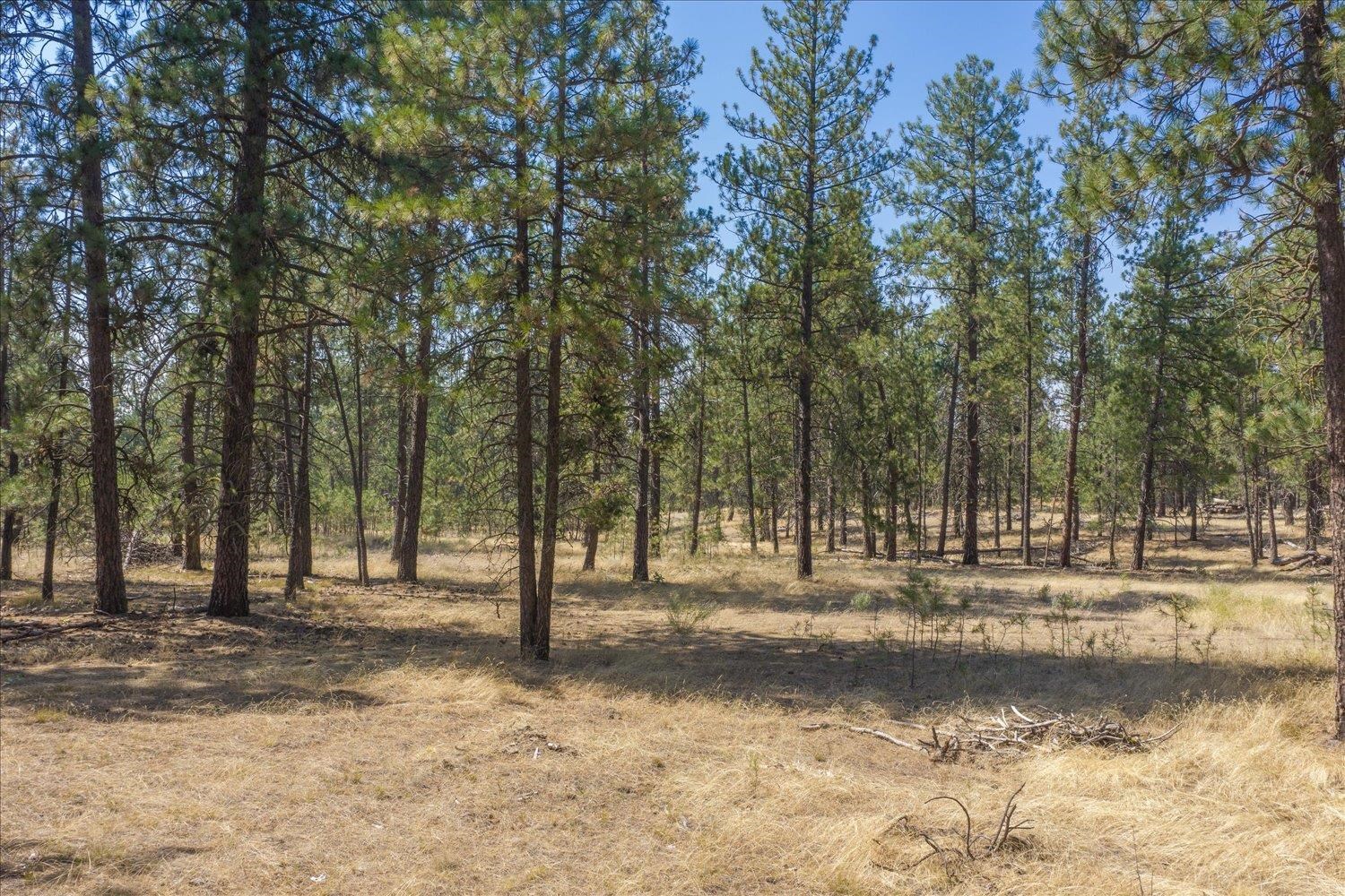 1110 1/2 S Brooks Rd - Photo 3