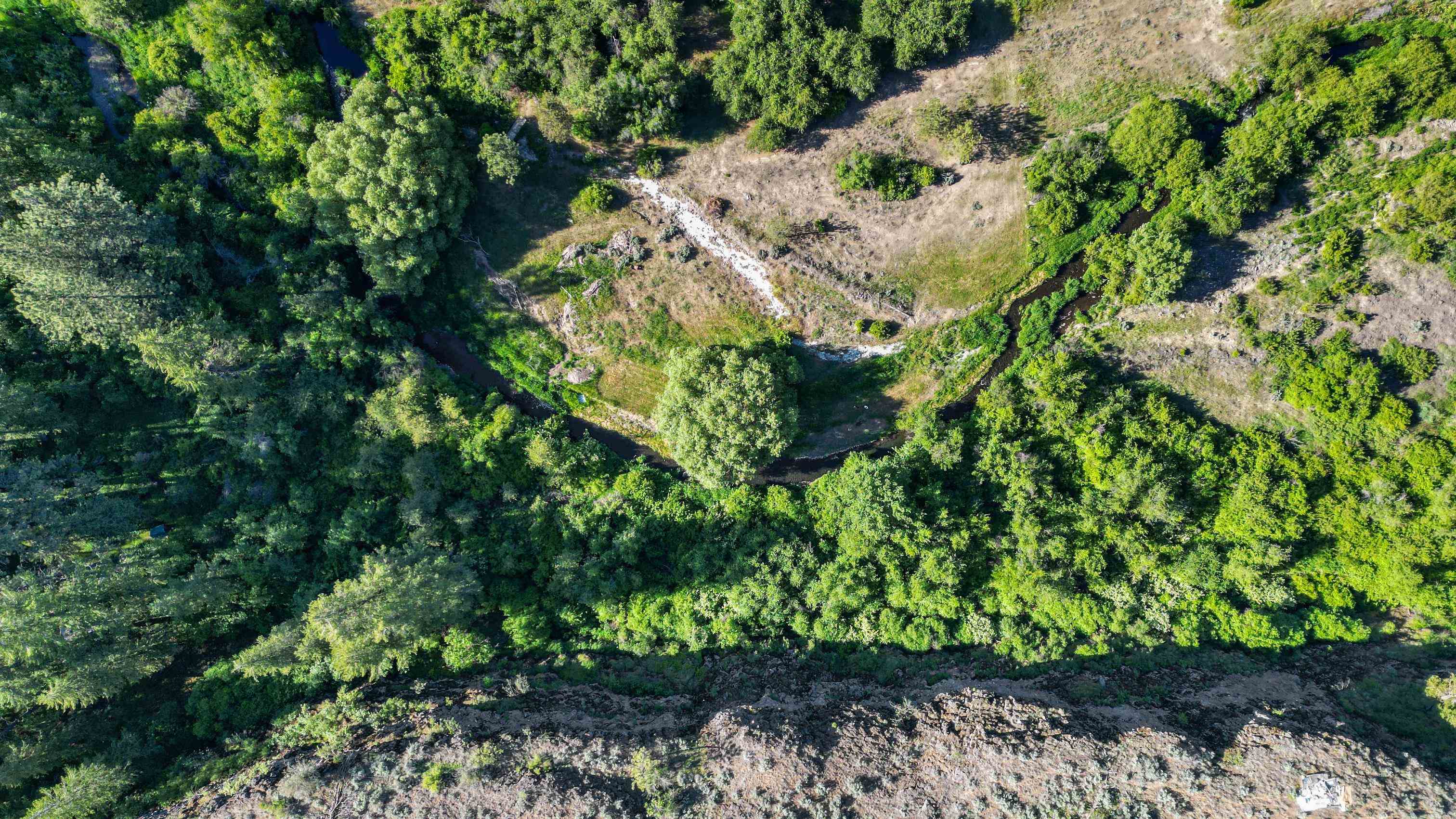 32965 Hawk Creek Ranch Rd N - Photo 31