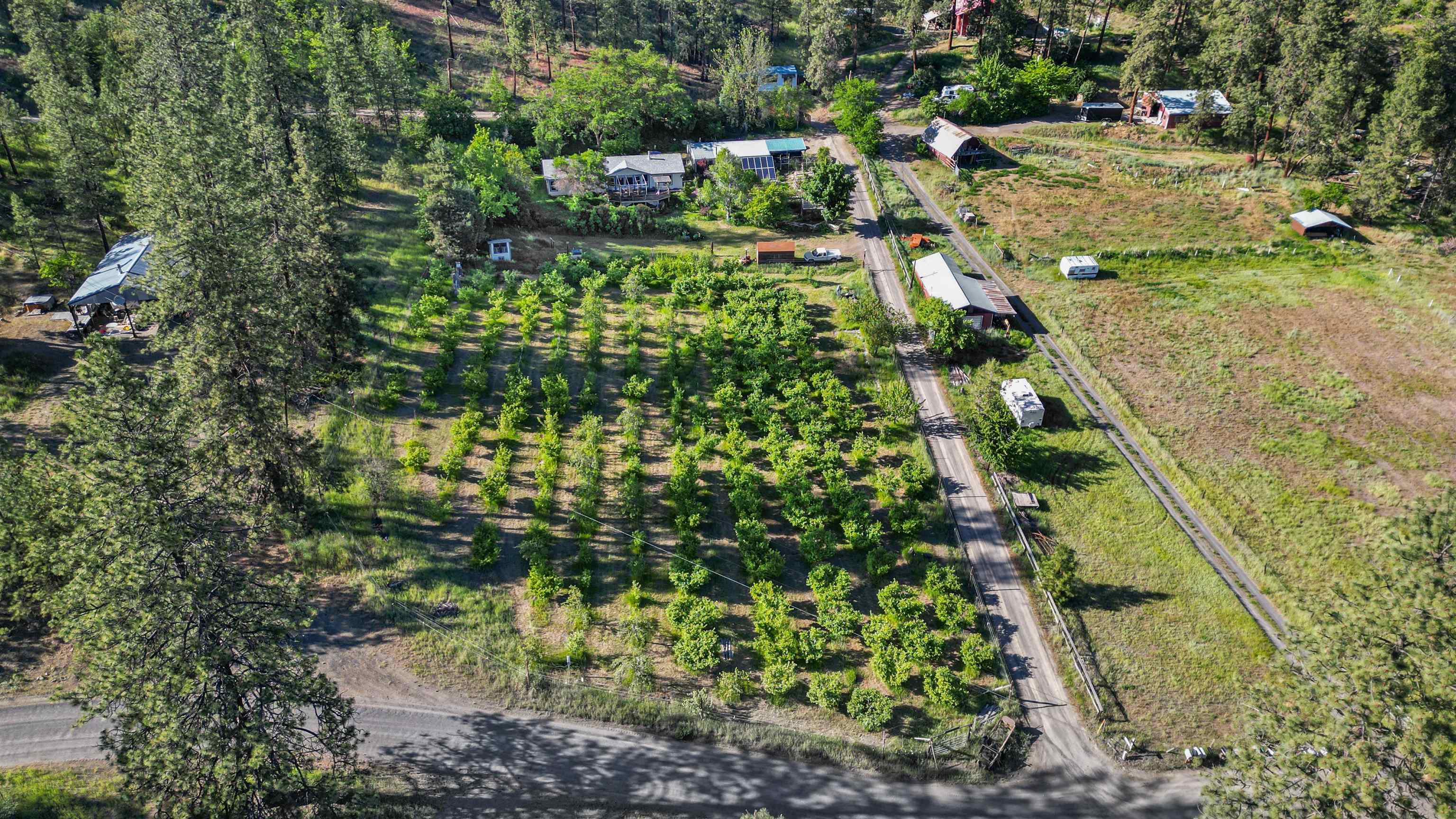 32965 Hawk Creek Ranch Rd N - Photo 33