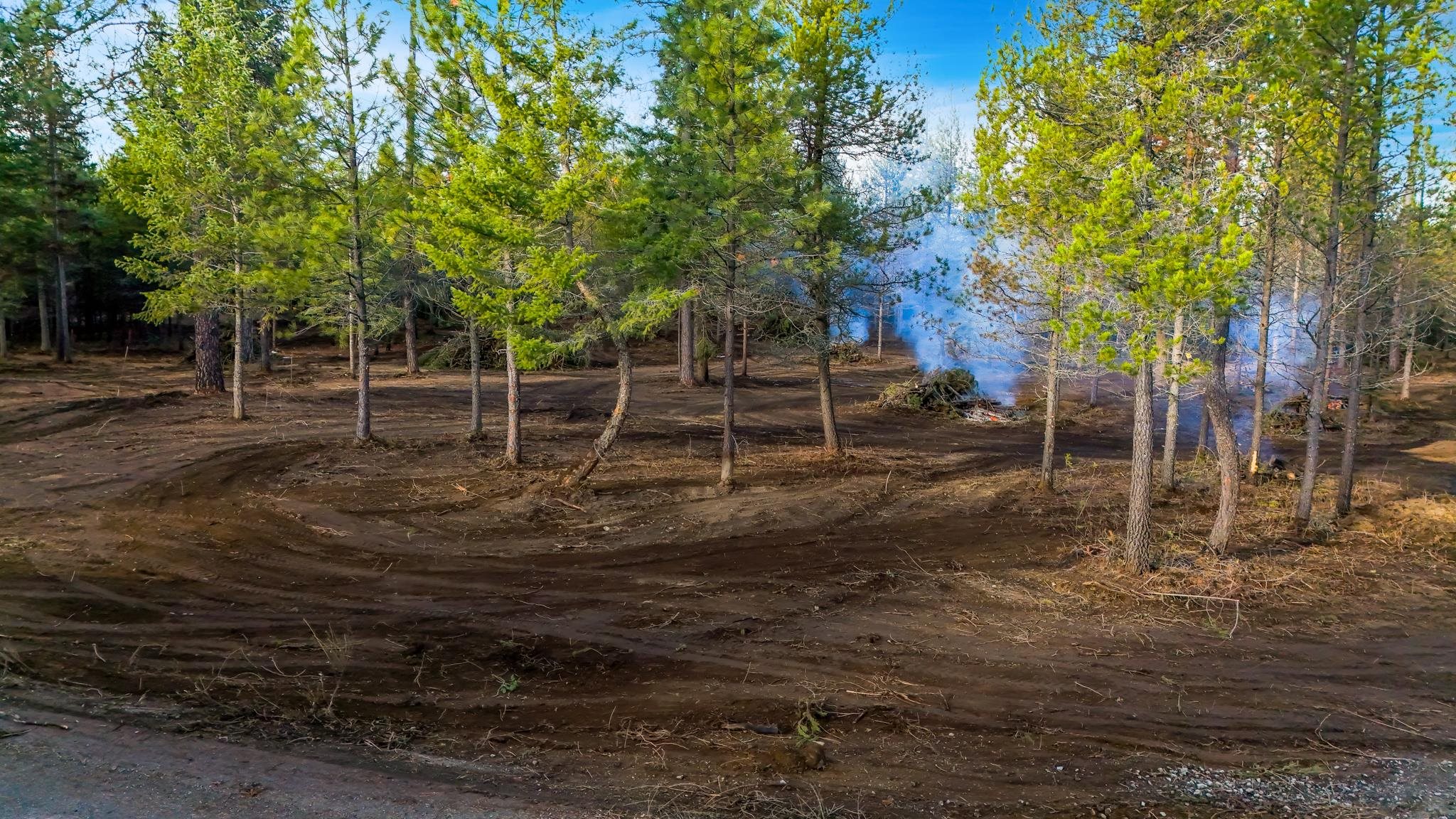 321 Glendale Dr - Photo 10
