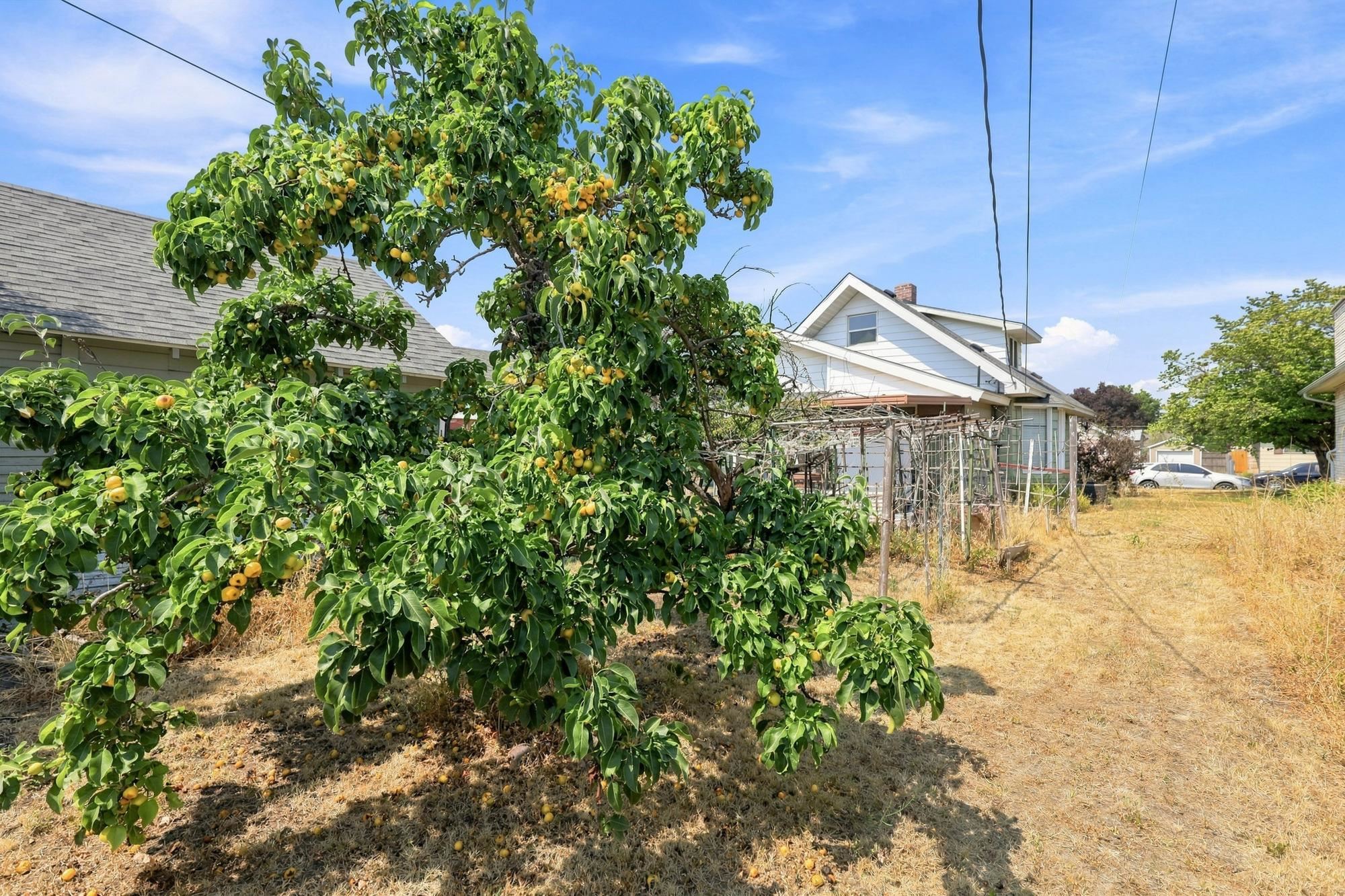 2608 E ROWAN Ave - Photo 28