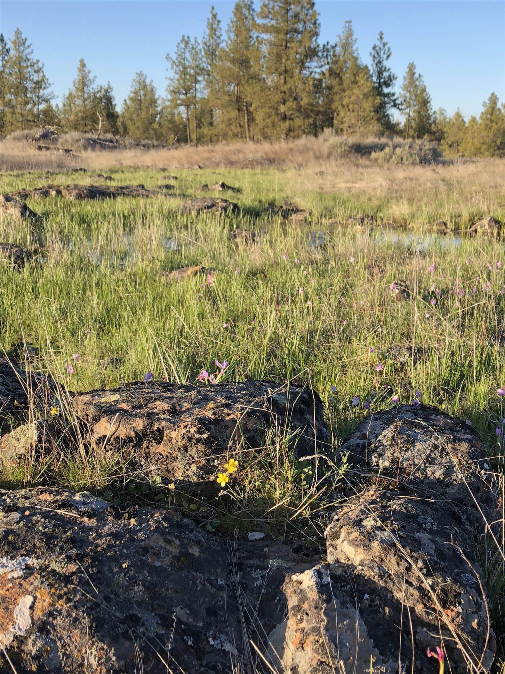 29412 W Cornwall Rd - Photo 42