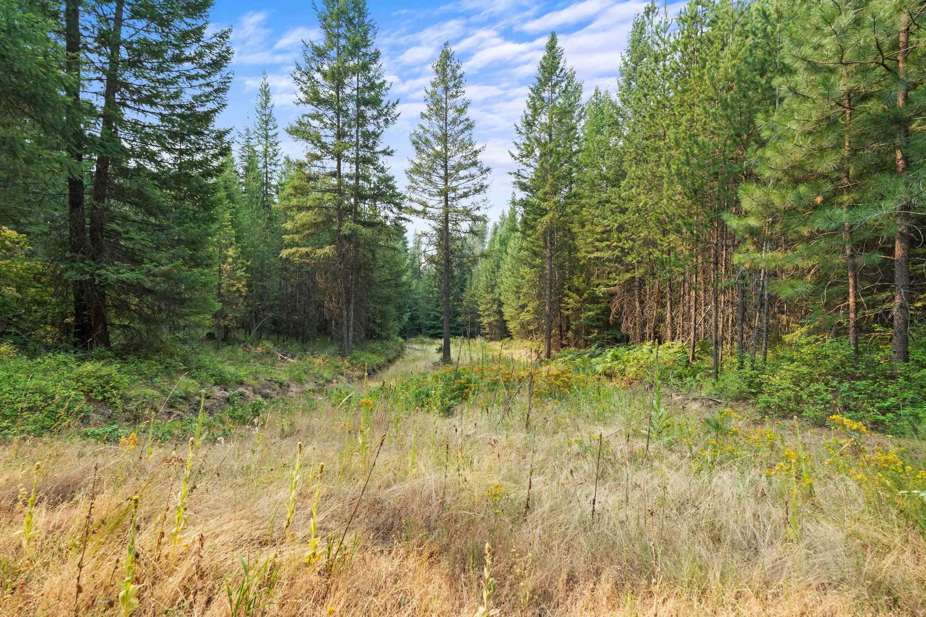 5162 Goah Way - Photo 27