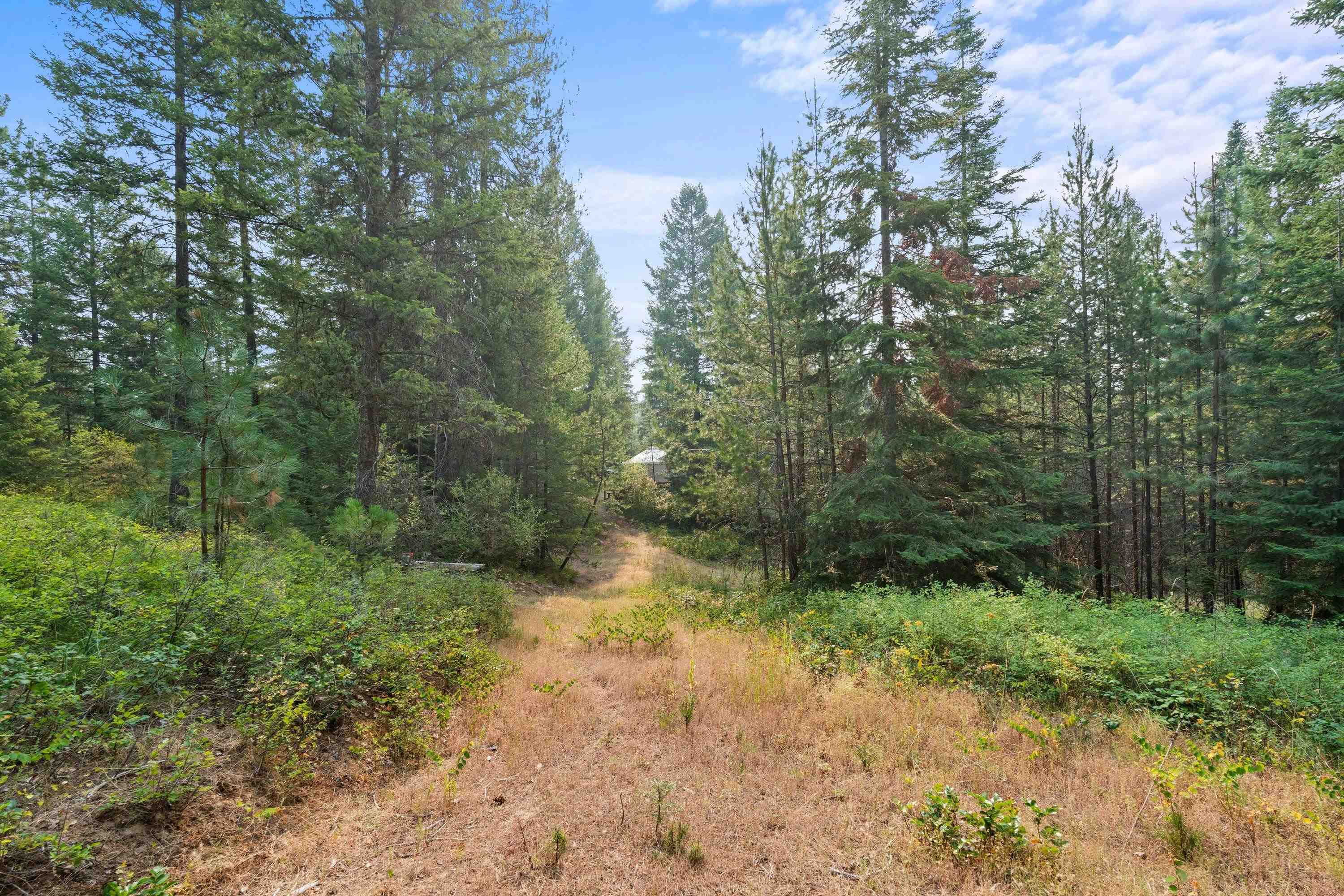 5162 Goah Way - Photo 31